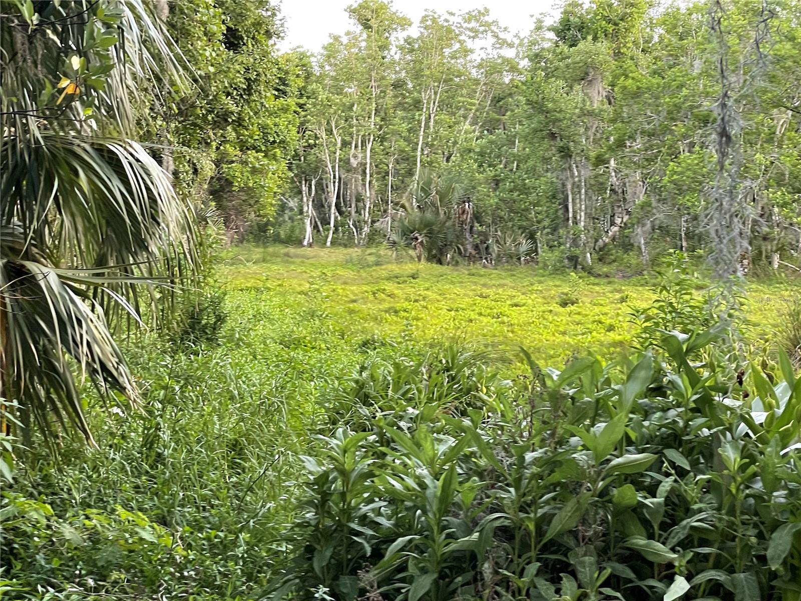 LAKE MARION RD W, HAINES CITY, FL — photo 12