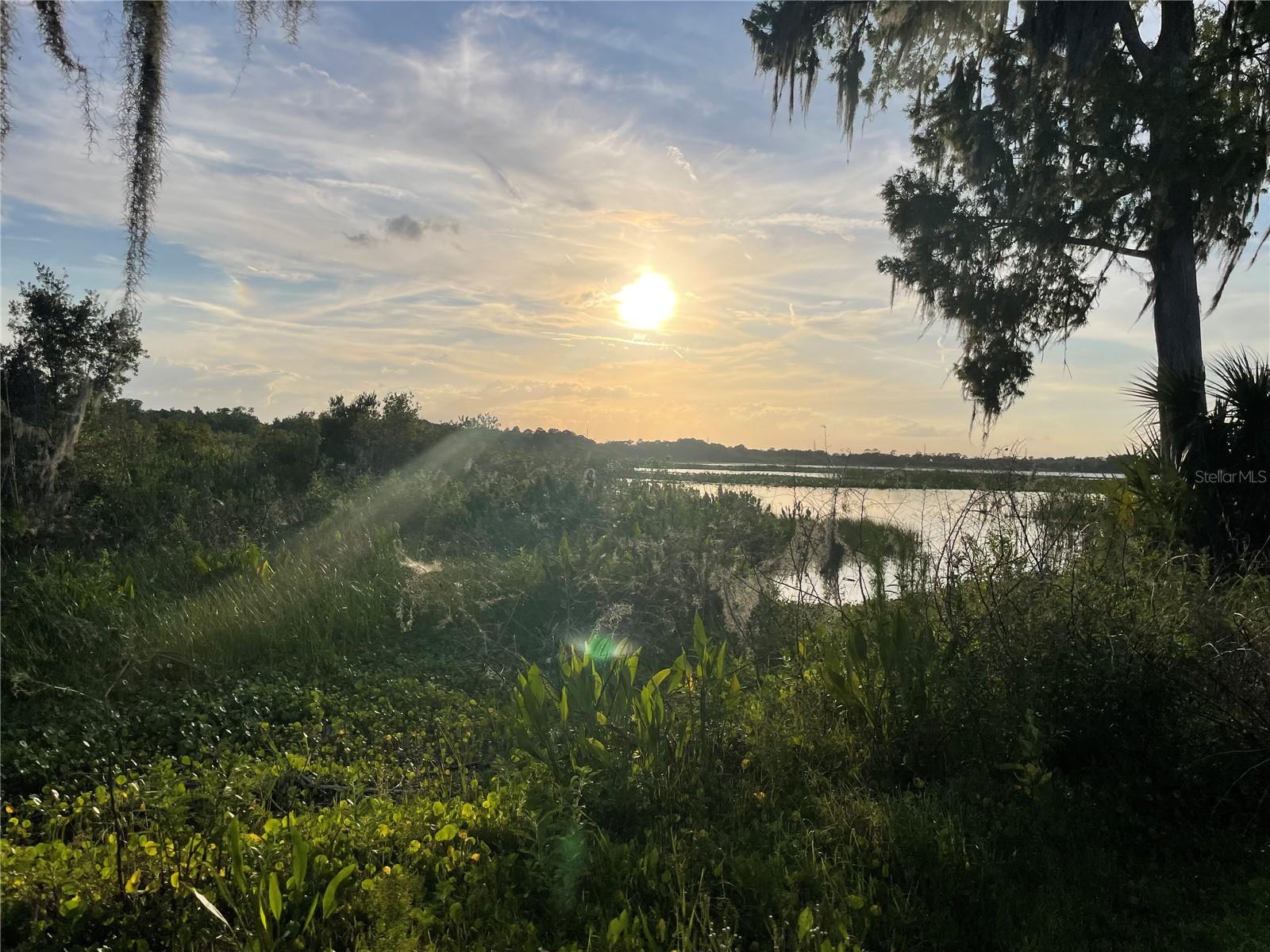 LAKE MARION RD W, HAINES CITY, FL — photo 14