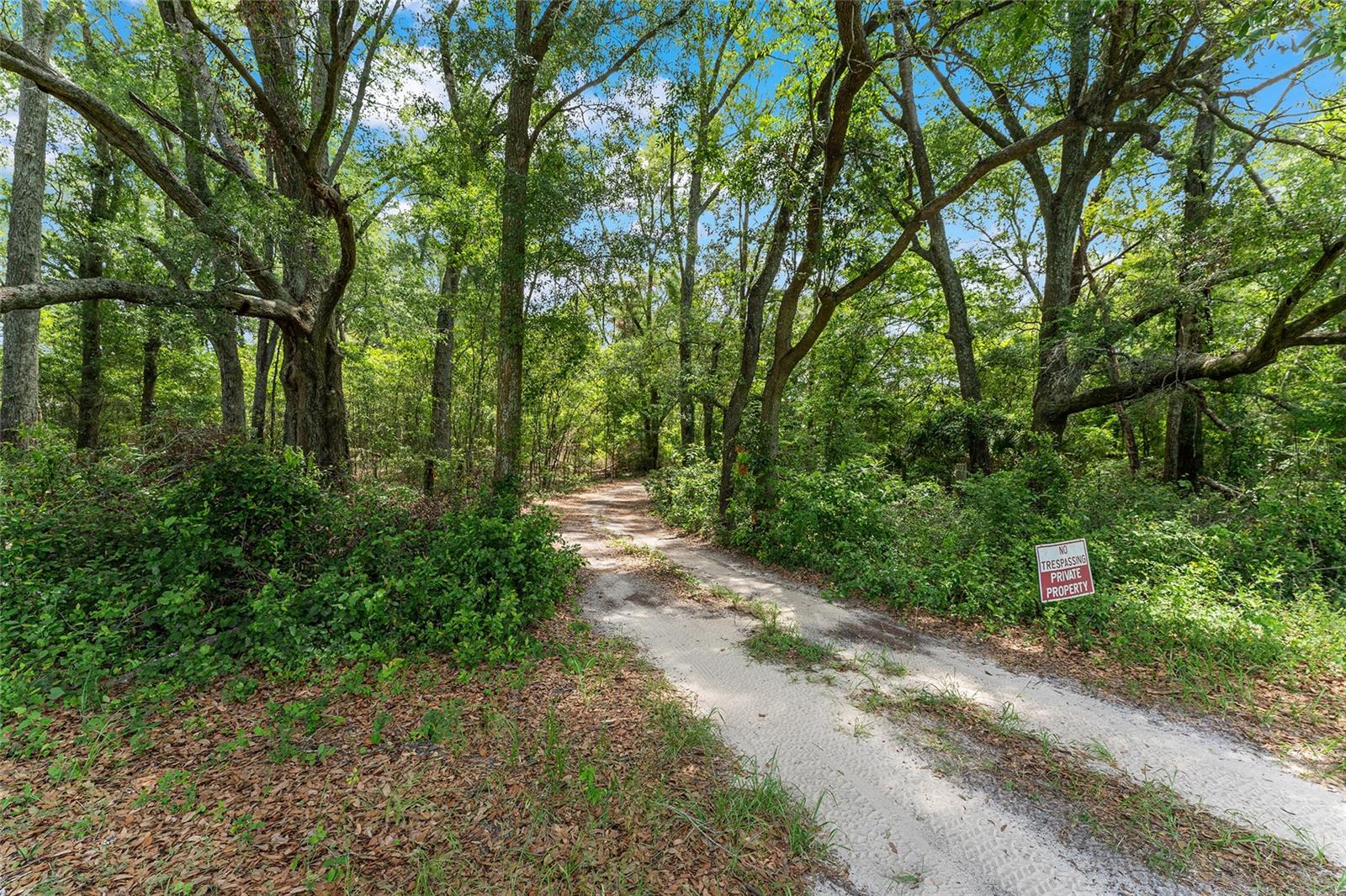 TBD NW STATE ROAD 27/45, NEWBERRY, FL — photo 5