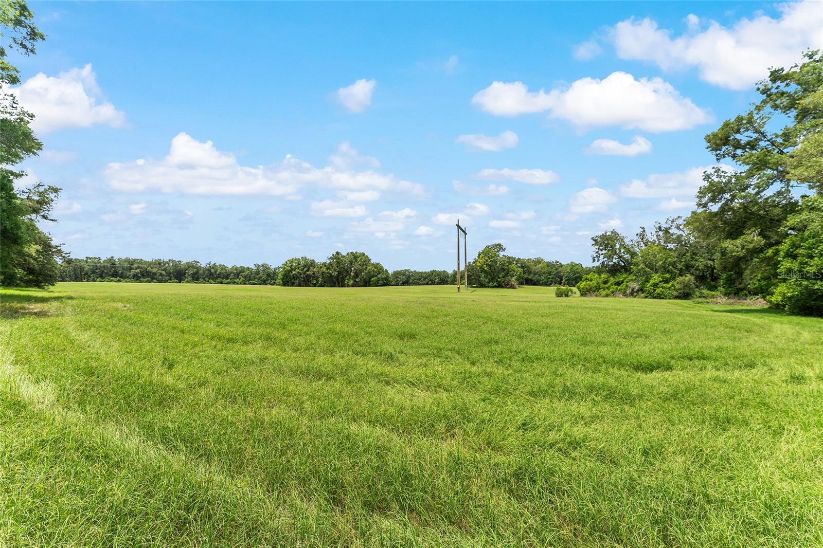 TBD NW STATE ROAD 27/45, NEWBERRY, FL — photo 14