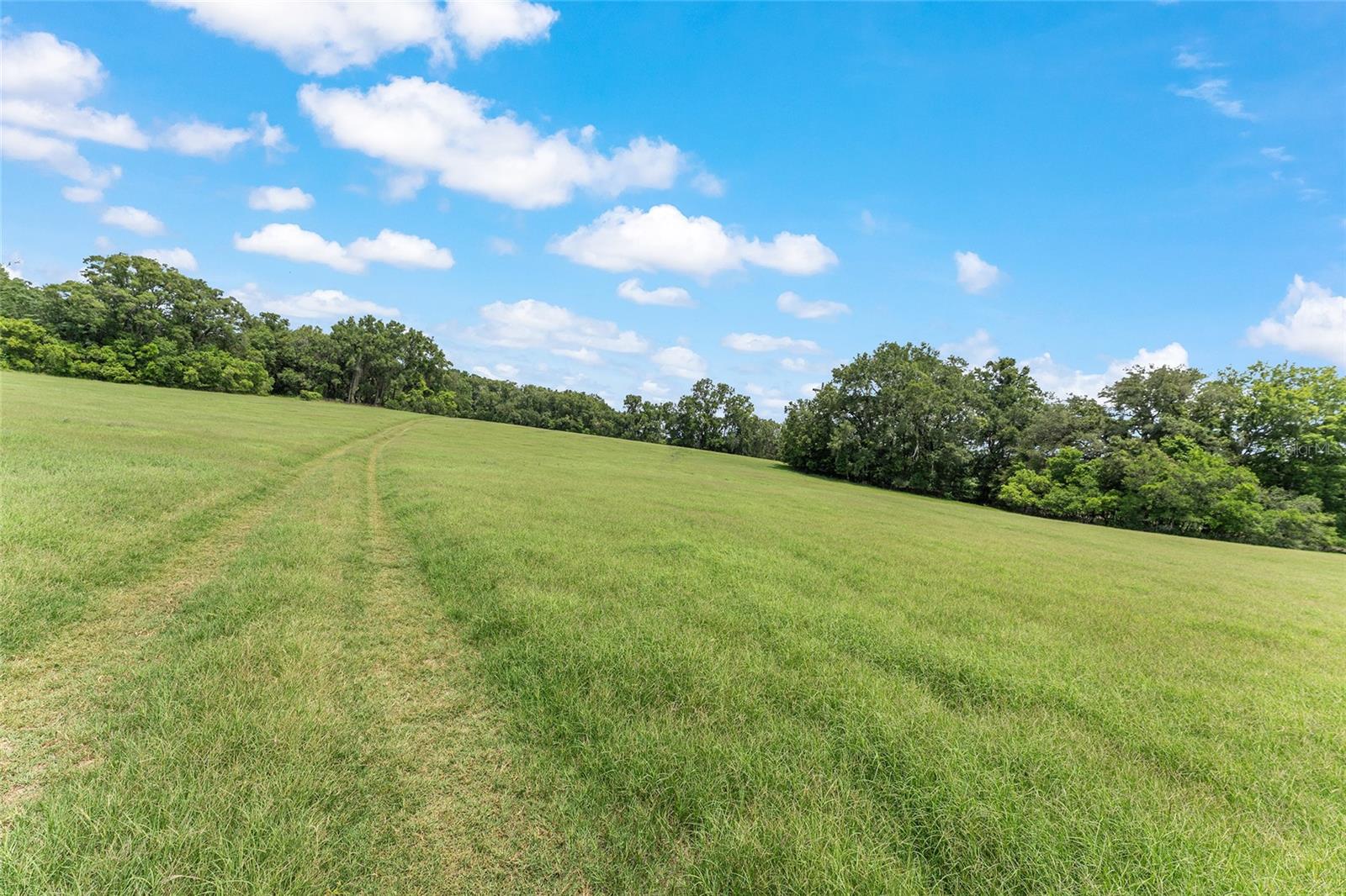 TBD NW STATE ROAD 27/45, NEWBERRY, FL — photo 18
