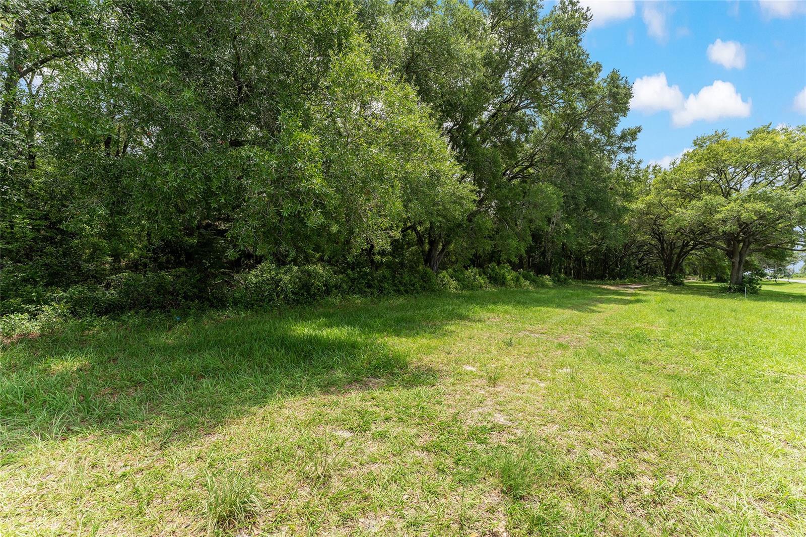TBD NW STATE ROAD 27/45, NEWBERRY, FL — photo 21