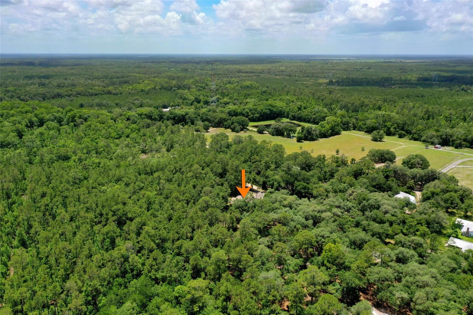 3296 N OLD DIXIE HWY, BUNNELL, FL — photo 55