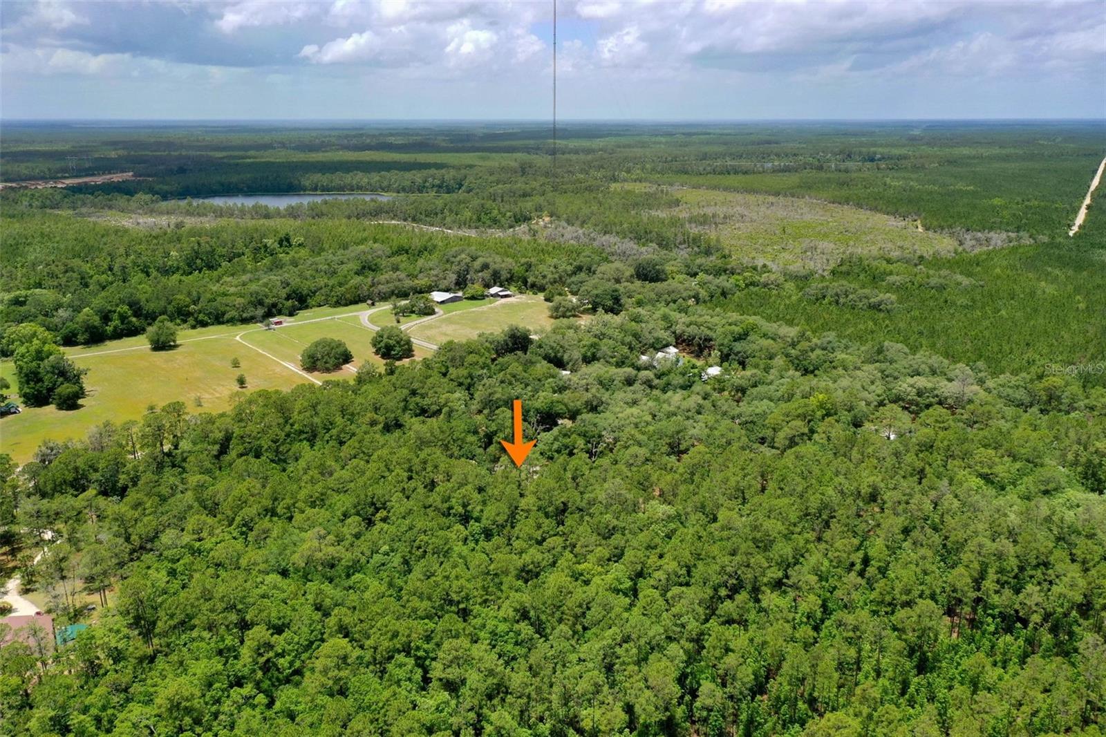 3296 N OLD DIXIE HWY, BUNNELL, FL — photo 57