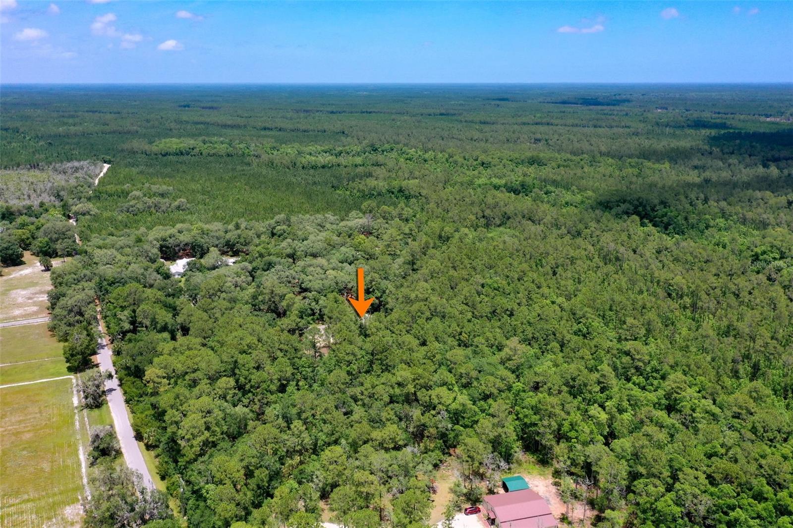 3296 N OLD DIXIE HWY, BUNNELL, FL — photo 58