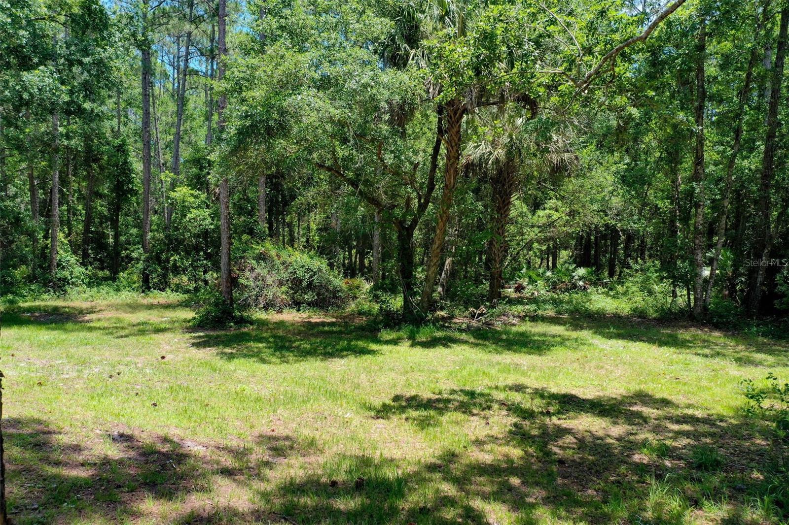 3296 N OLD DIXIE HWY, BUNNELL, FL — photo 61