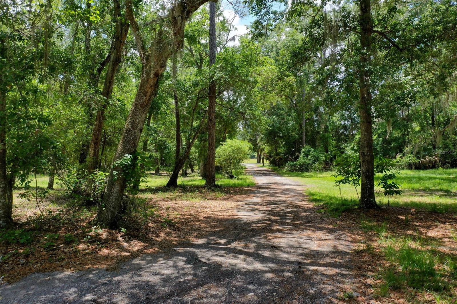 3296 N OLD DIXIE HWY, BUNNELL, FL — photo 63