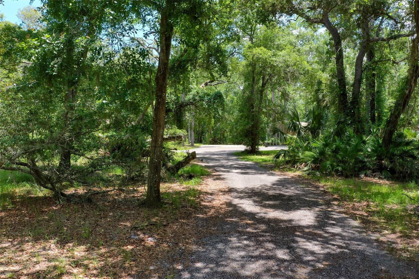 3296 N OLD DIXIE HWY, BUNNELL, FL — photo 2