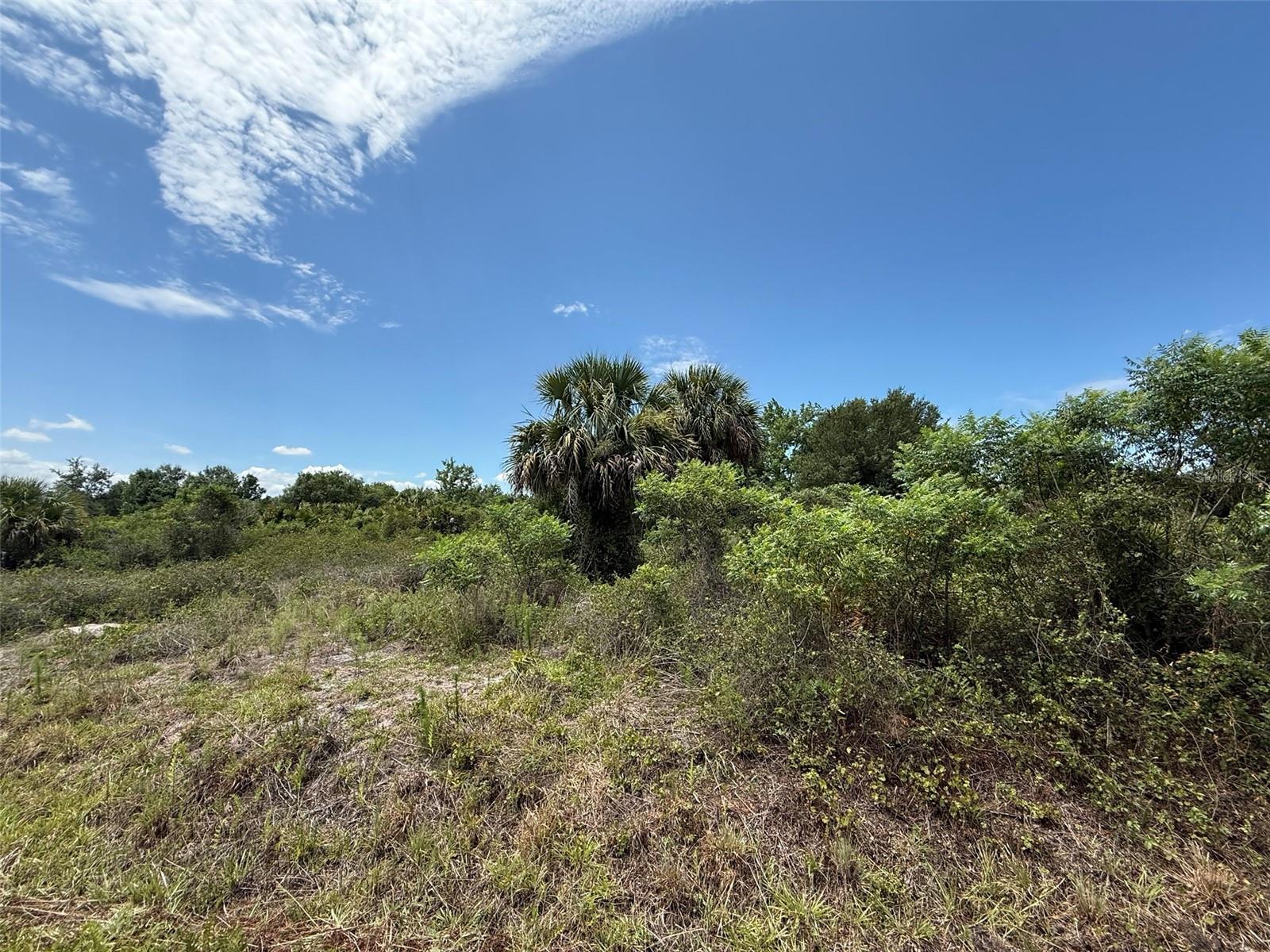 20174 NW 268TH ST, OKEECHOBEE, FL — photo 2