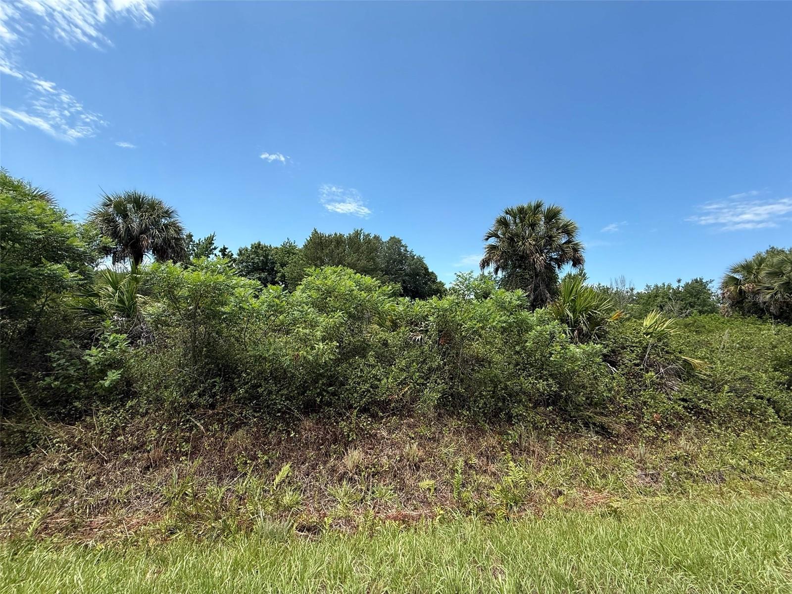 20174 NW 268TH ST, OKEECHOBEE, FL — photo 3