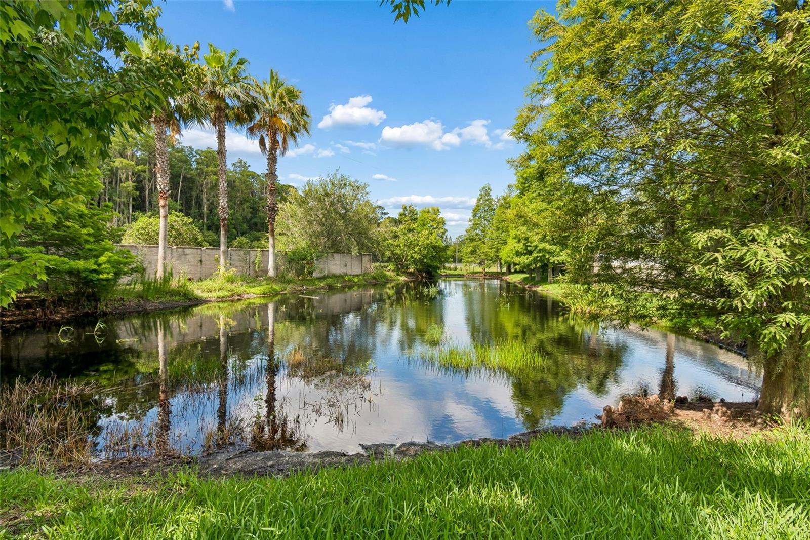 606 CABERNET WAY, OLDSMAR, FL — photo 51
