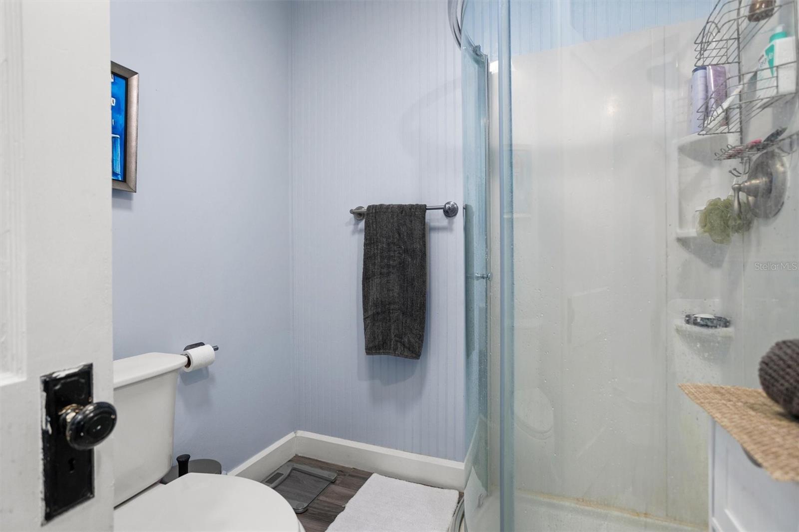 319 BETHEL AVE S, ST PETERSBURG, FL — photo 19