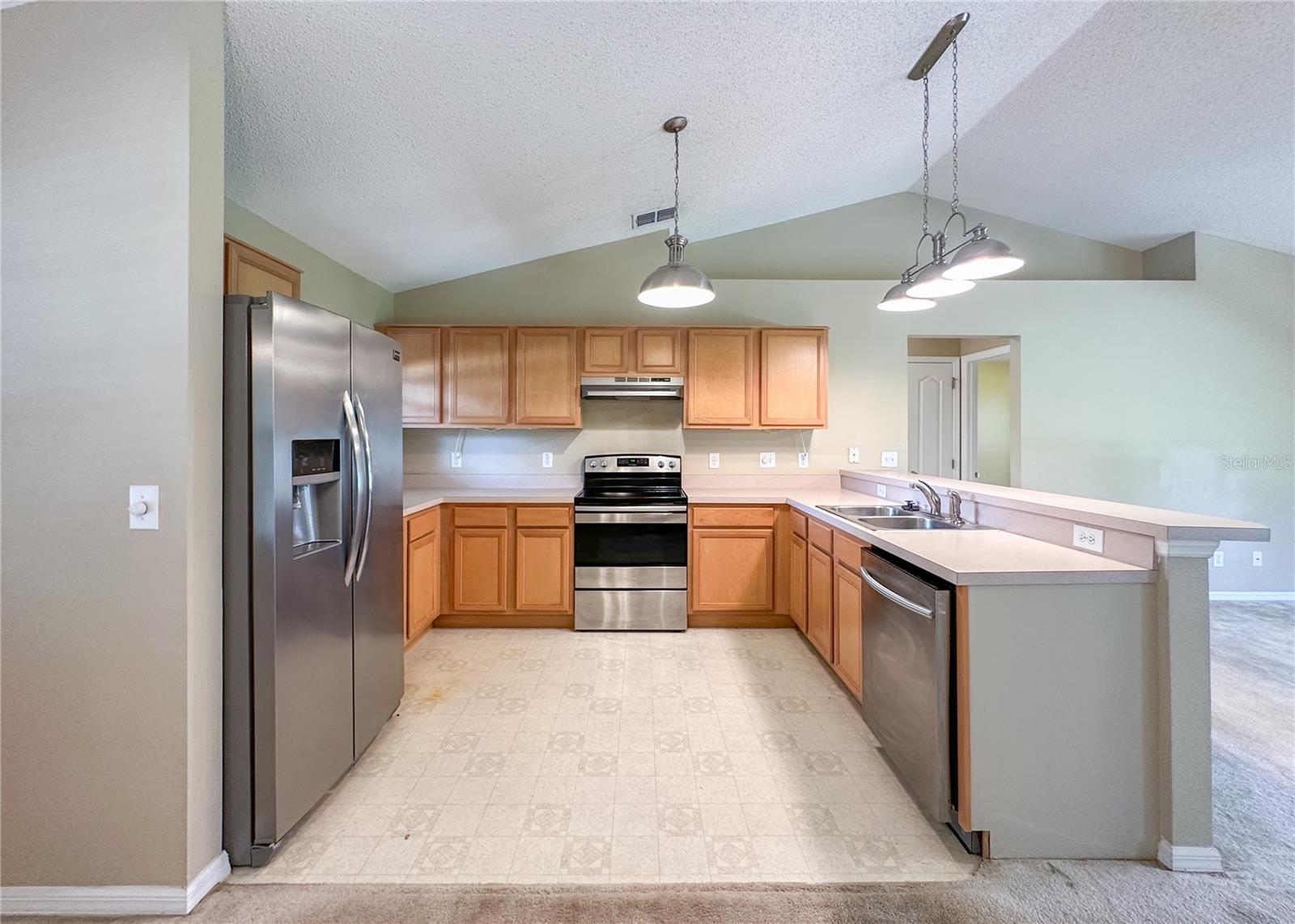 224 FAULKNER ST, WINTER GARDEN, FL — photo 8