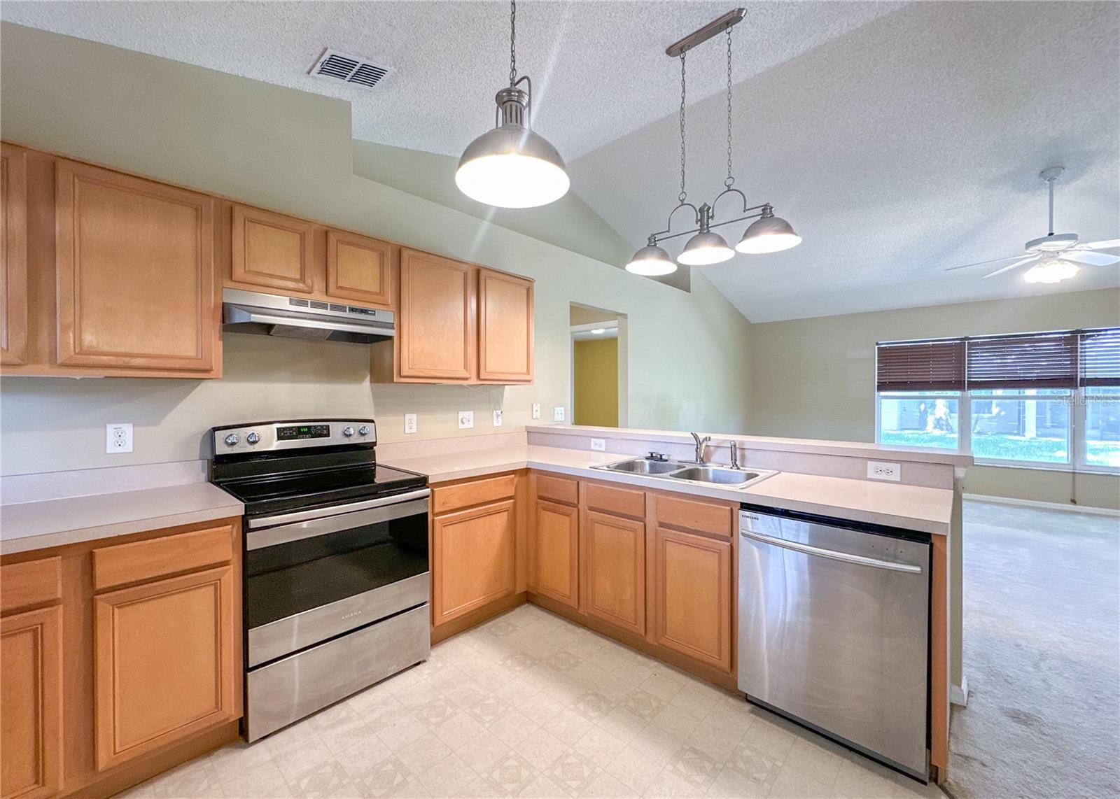 224 FAULKNER ST, WINTER GARDEN, FL — photo 9