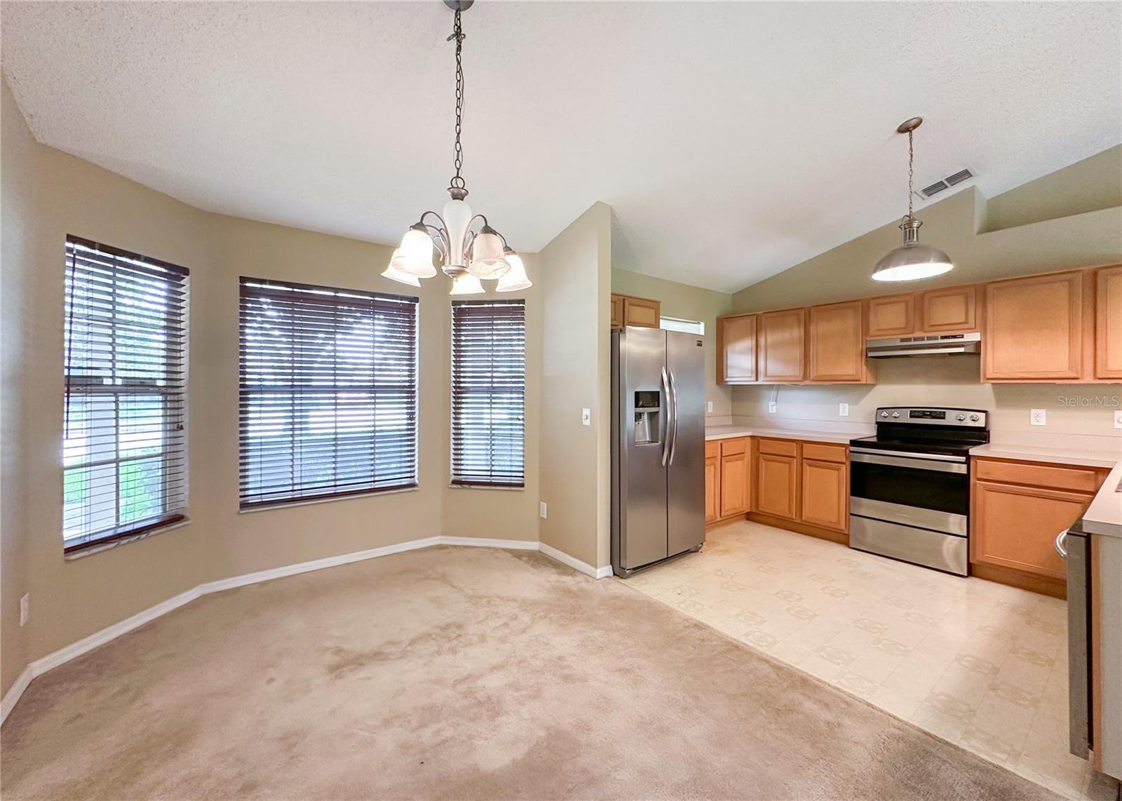 224 FAULKNER ST, WINTER GARDEN, FL — photo 10