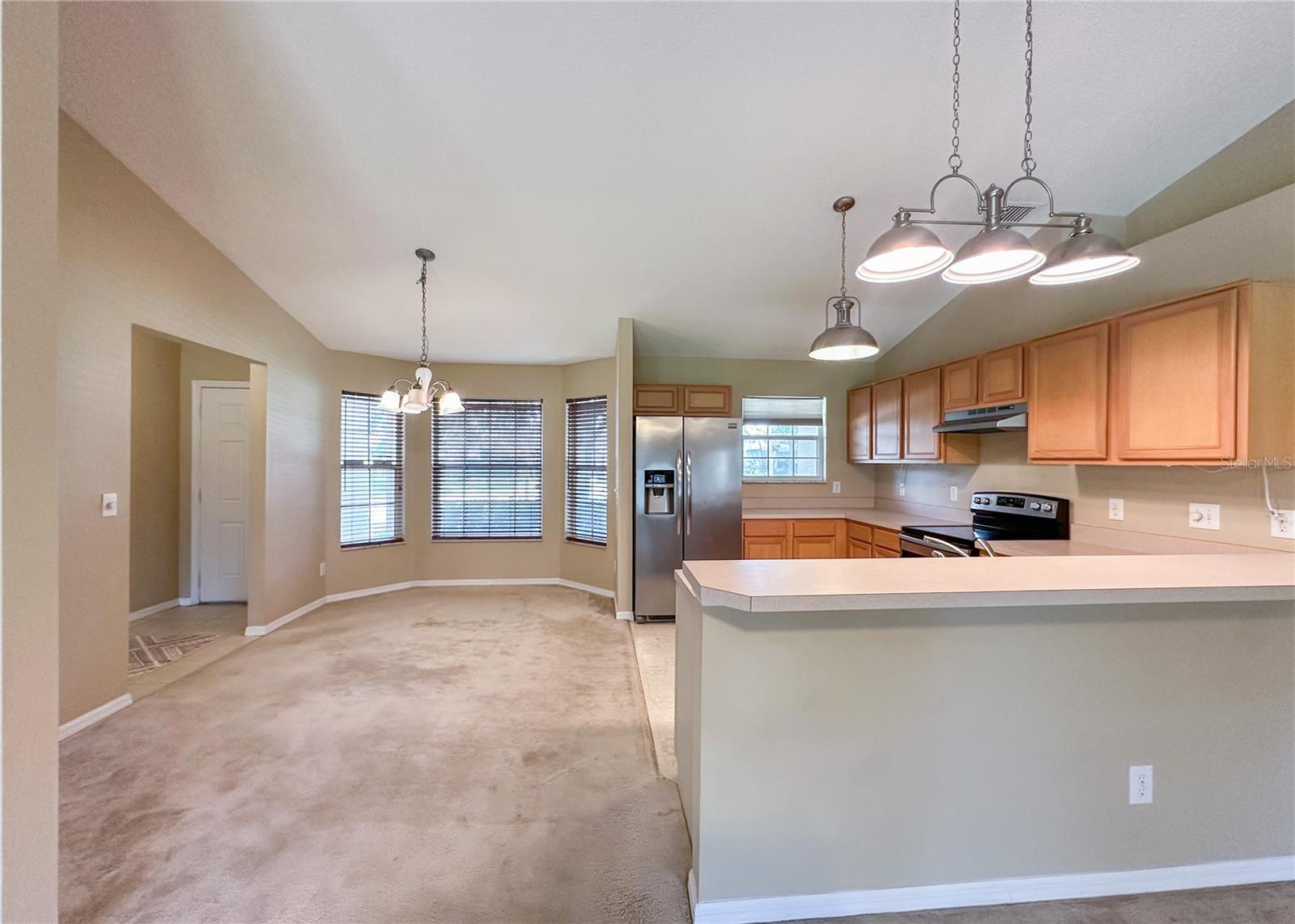 224 FAULKNER ST, WINTER GARDEN, FL — photo 11