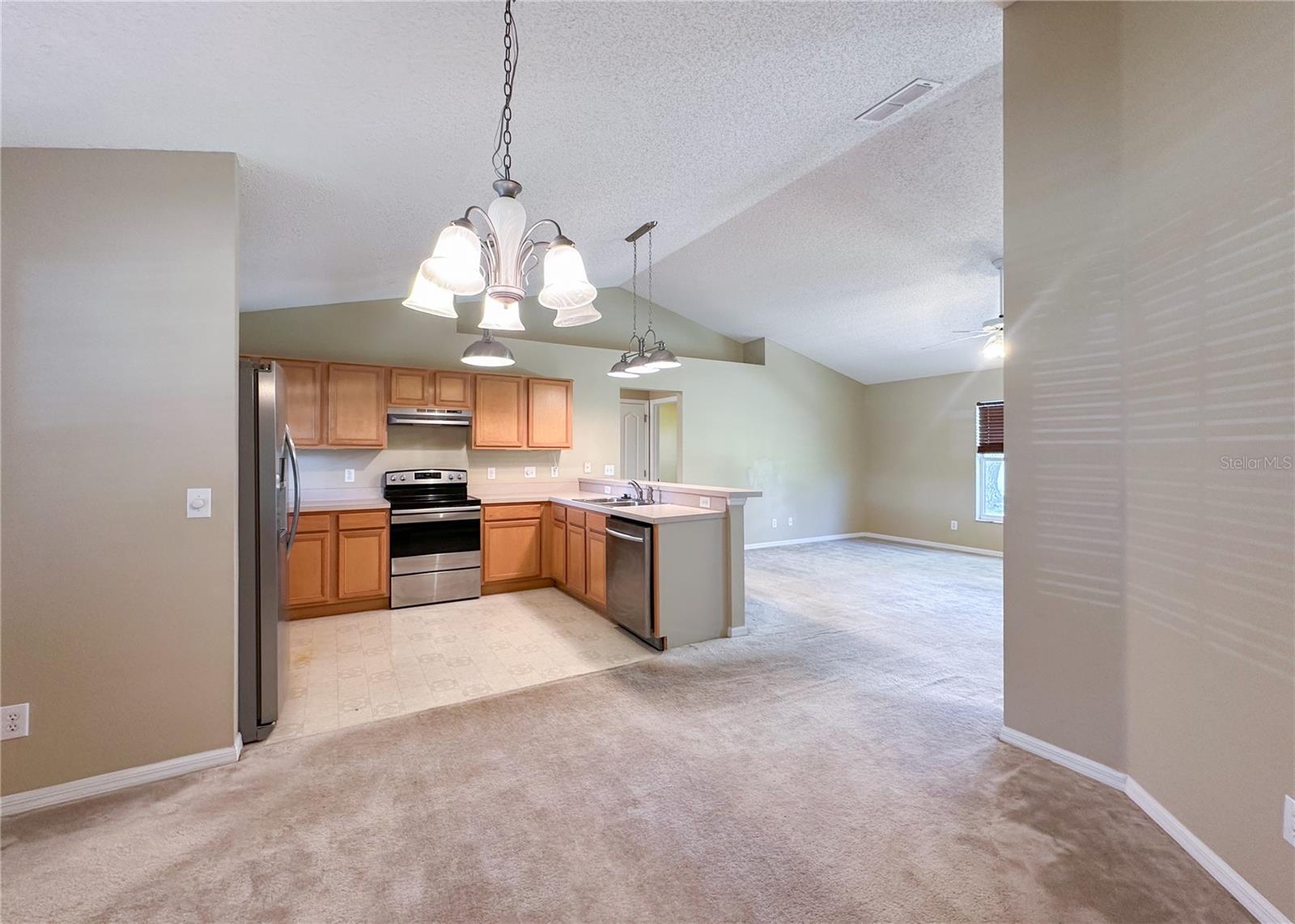 224 FAULKNER ST, WINTER GARDEN, FL — photo 12