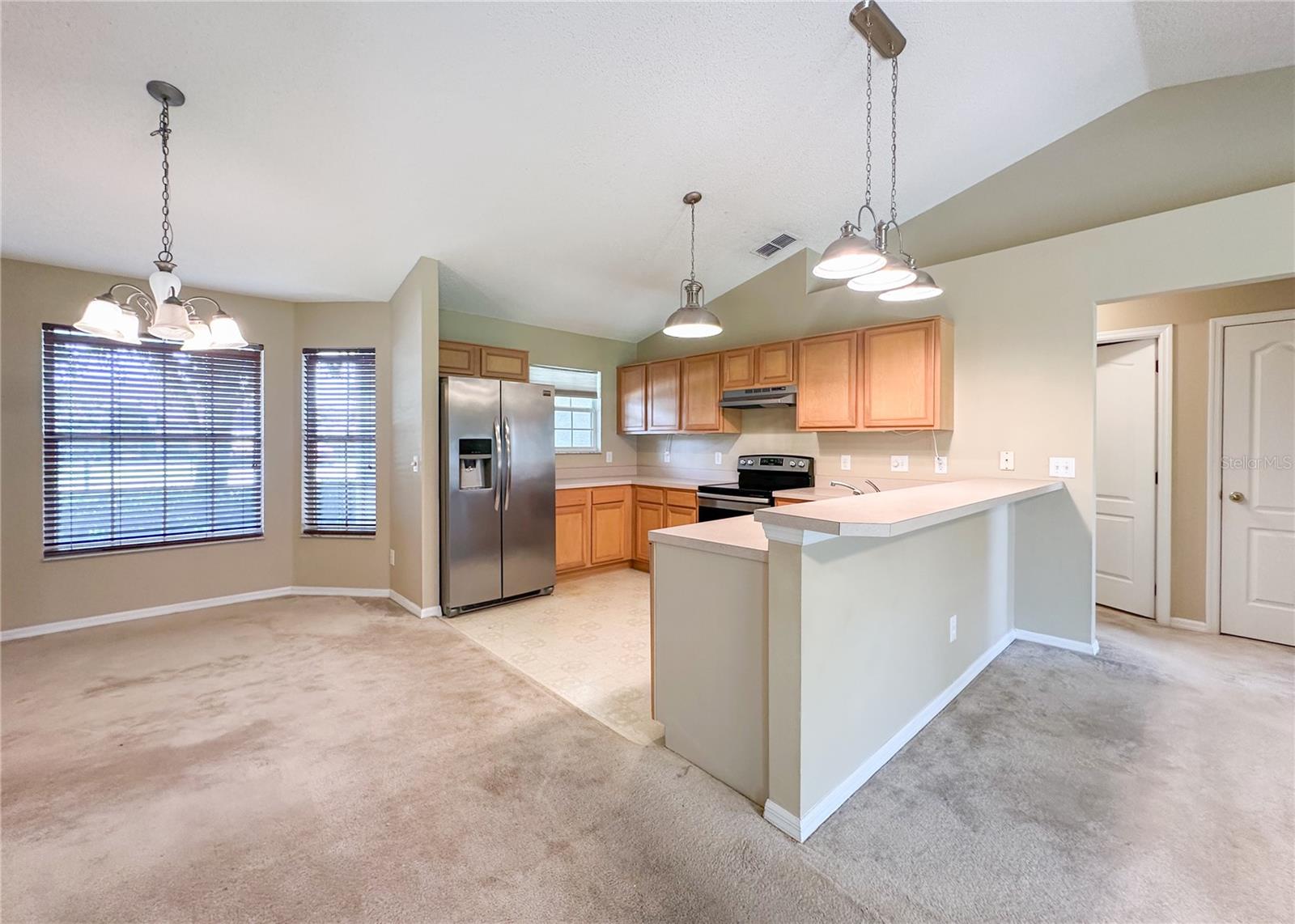 224 FAULKNER ST, WINTER GARDEN, FL — photo 13