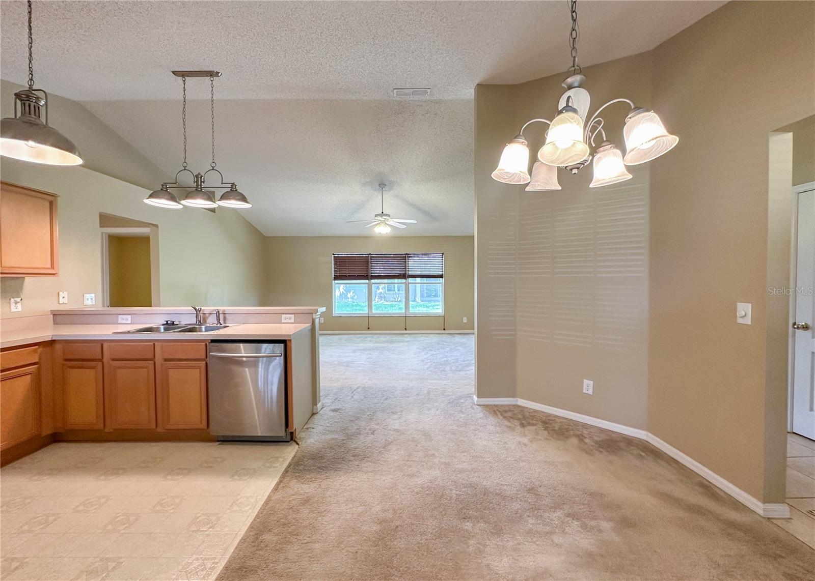 224 FAULKNER ST, WINTER GARDEN, FL — photo 14