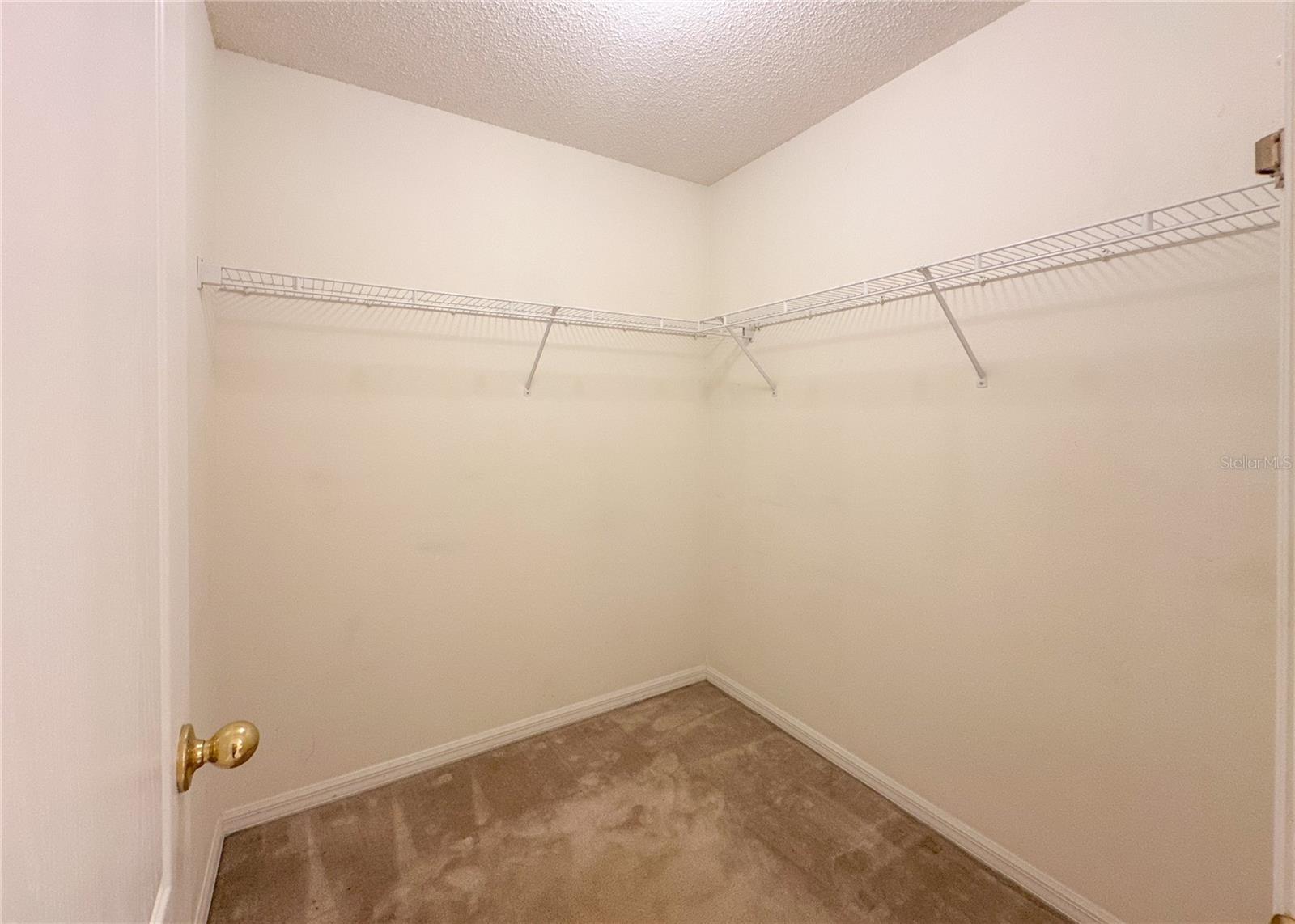 224 FAULKNER ST, WINTER GARDEN, FL — photo 22
