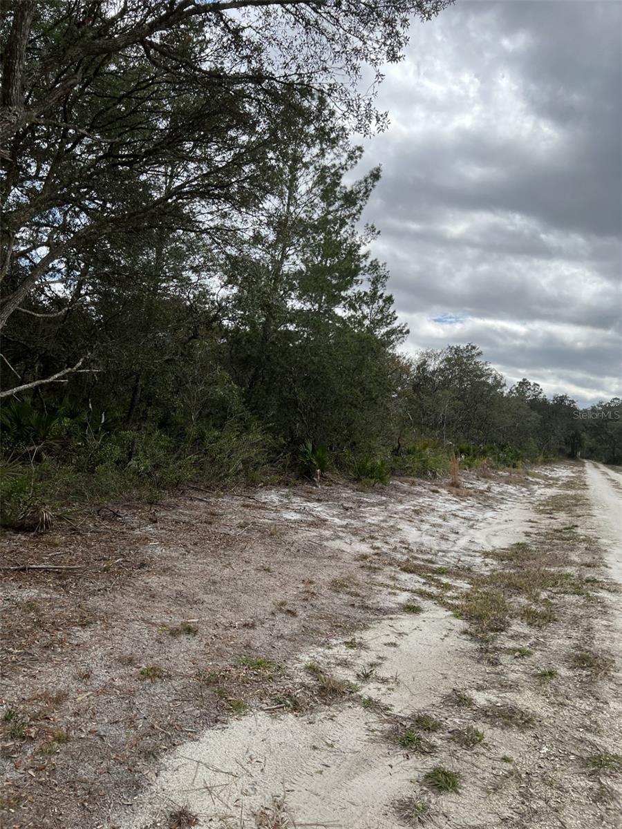 0 NE 144TH CT, FORT MC COY, FL — photo 2