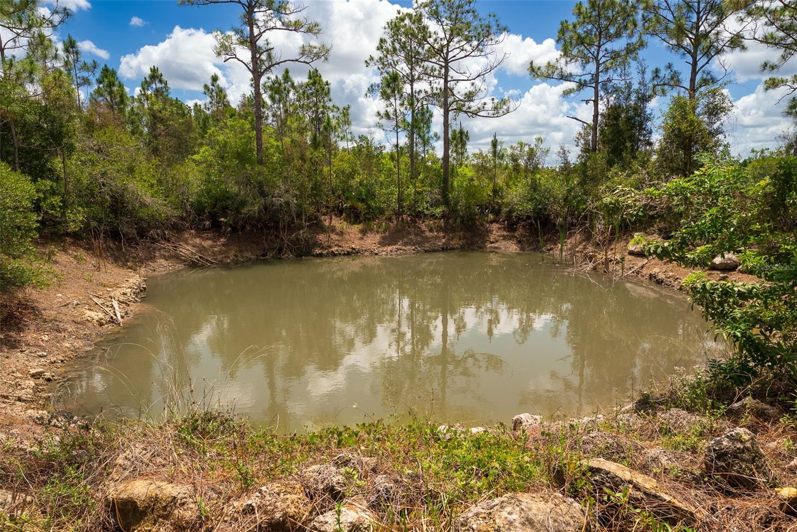 32706 OIL WELL RD, PUNTA GORDA, FL — photo 34