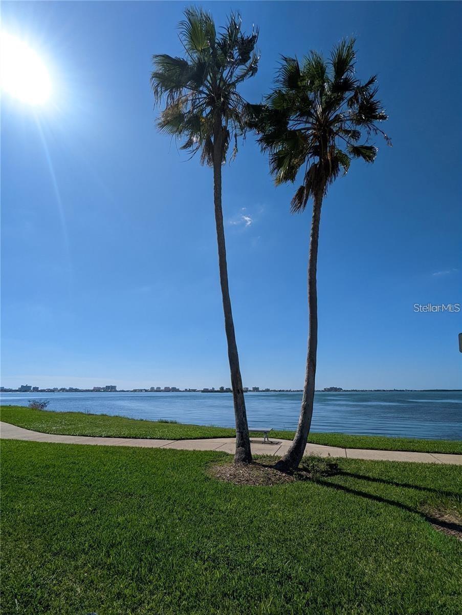 1920/1922 SPRINGTIME AVE, CLEARWATER, FL — photo 19