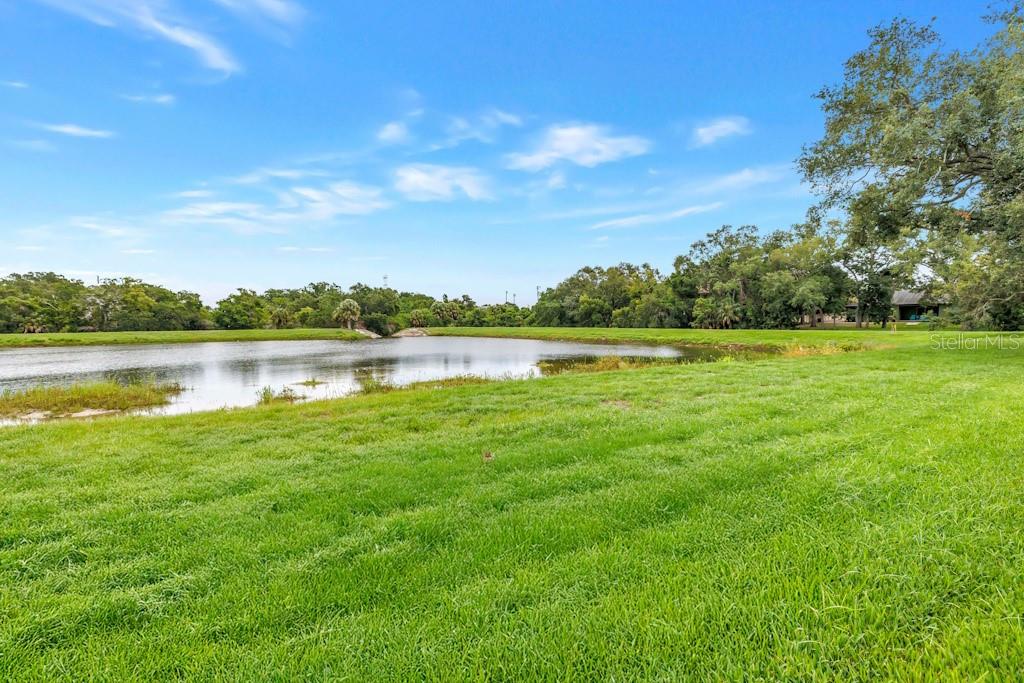 731 OBERLIN DR, CLEARWATER, FL — photo 8