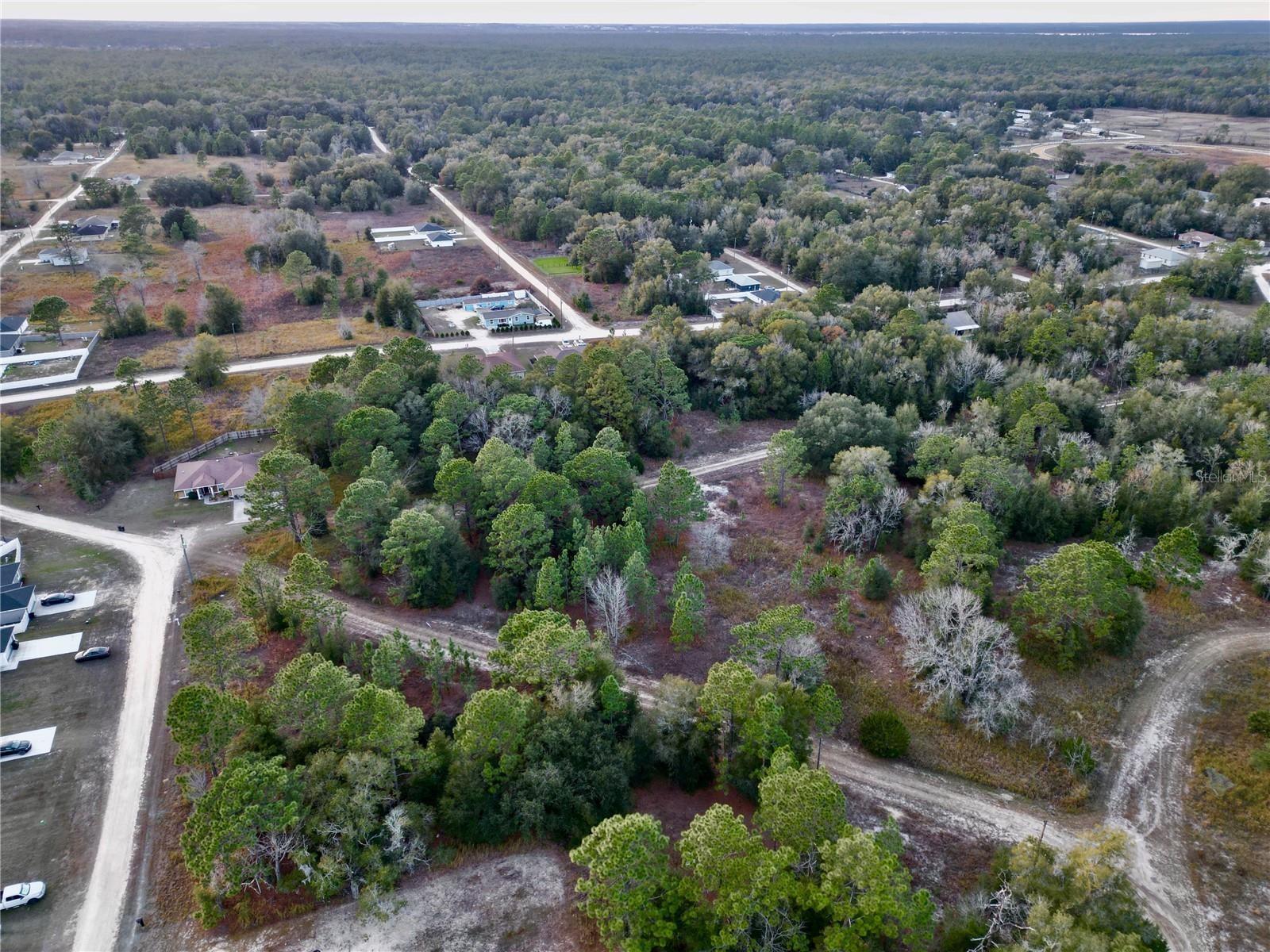 TBD SW 145TH CT, OCALA, FL — photo 4