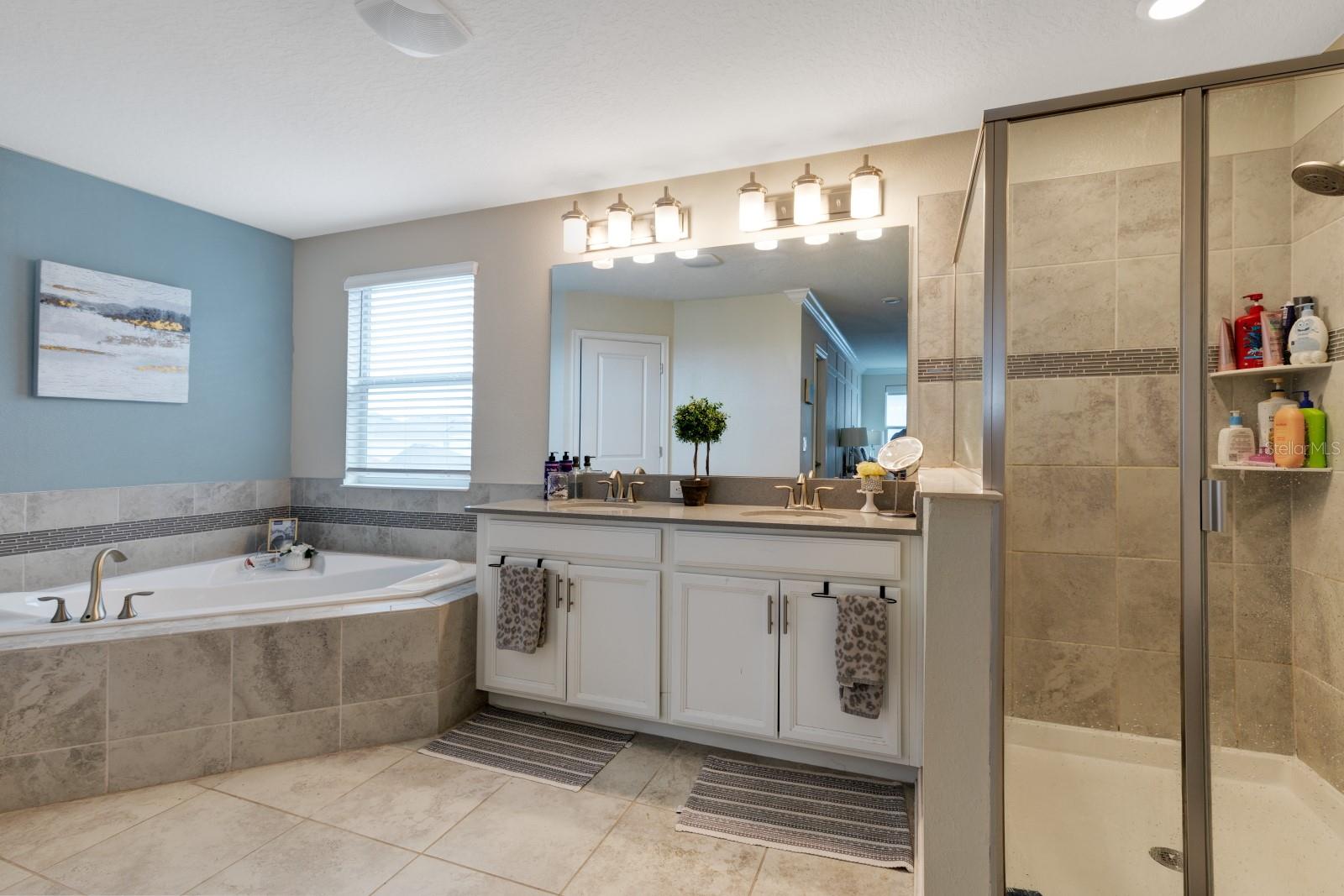 7542 SUMMERLAKE GROVES ST, WINTER GARDEN, FL — photo 13