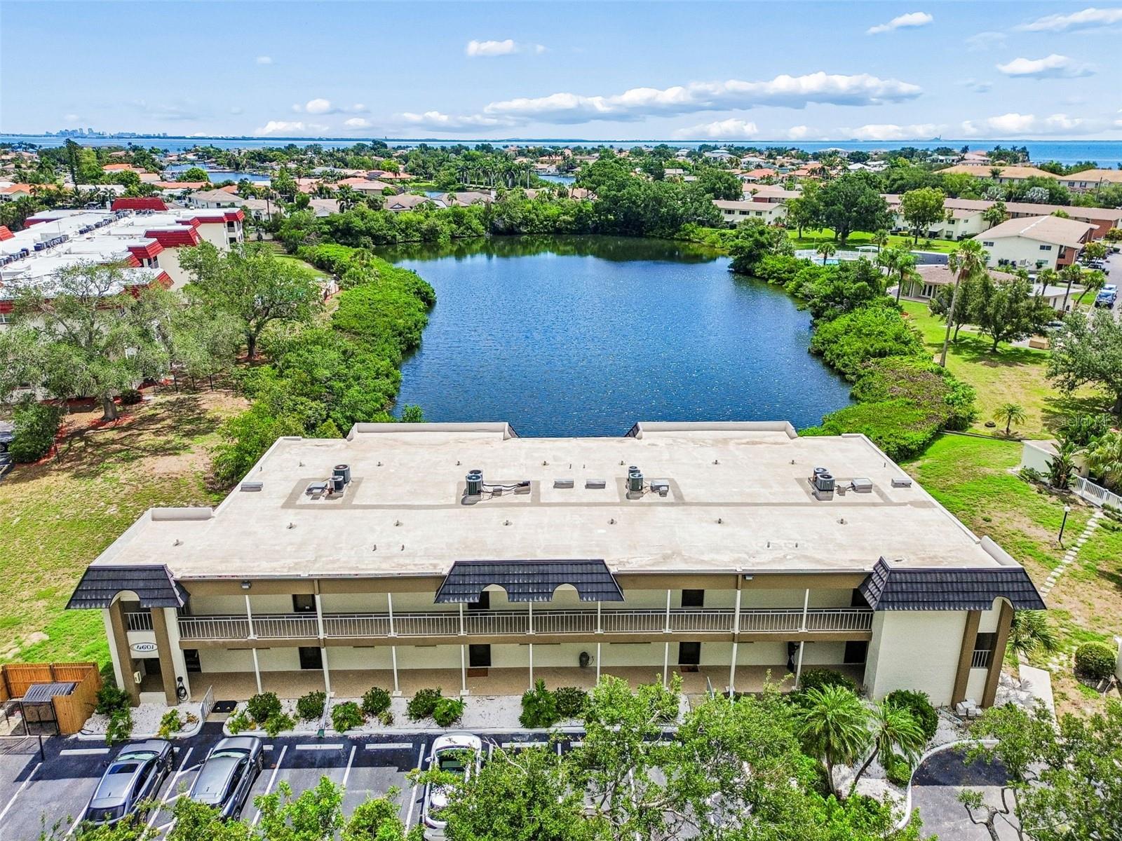 4601 CHANCELLOR ST NE #146, ST PETERSBURG, FL — photo 41