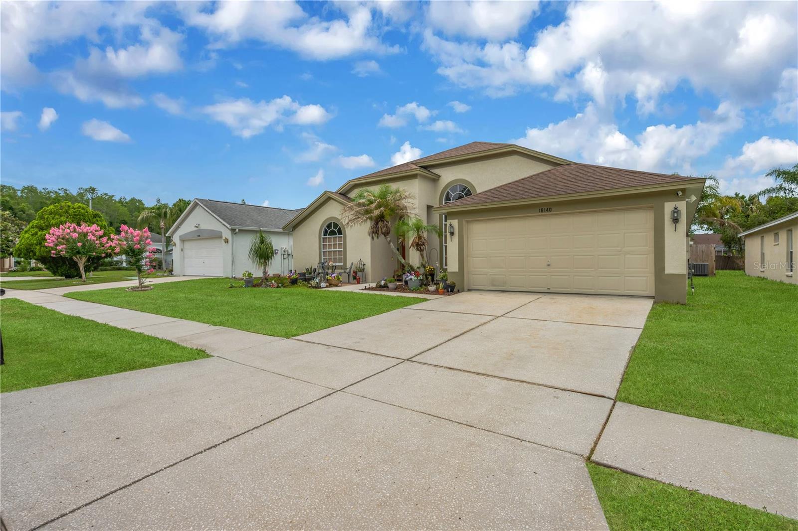 18140 PALM BREEZE DR, TAMPA, FL — photo 5