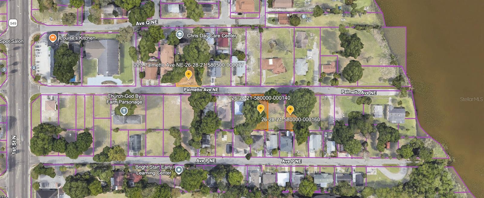 223 PALMETTO AVE NE, WINTER HAVEN, FL