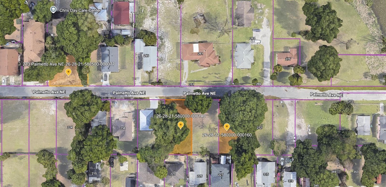 223 PALMETTO AVE NE, WINTER HAVEN, FL — photo 7