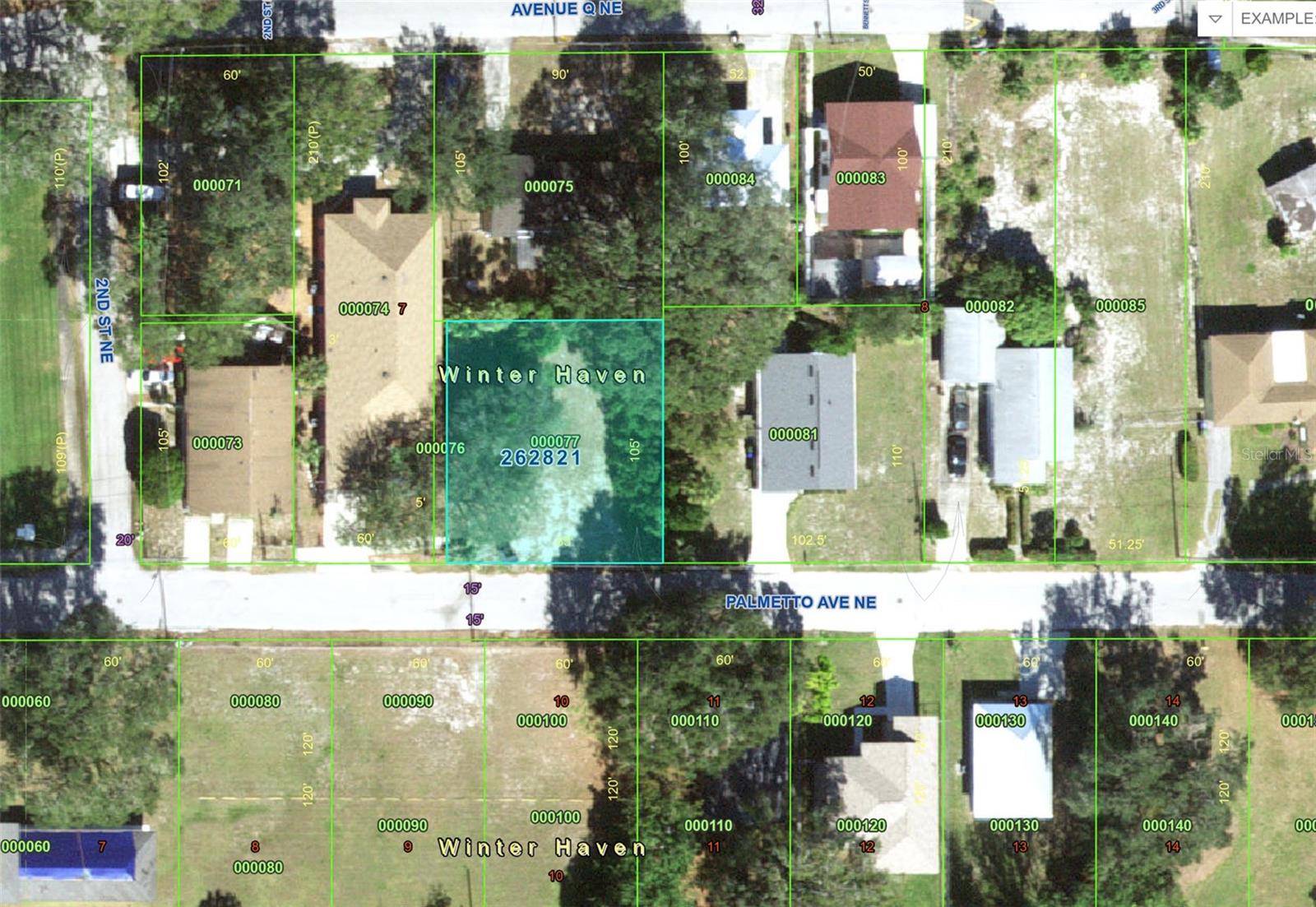 223 PALMETTO AVE NE, WINTER HAVEN, FL — photo 9