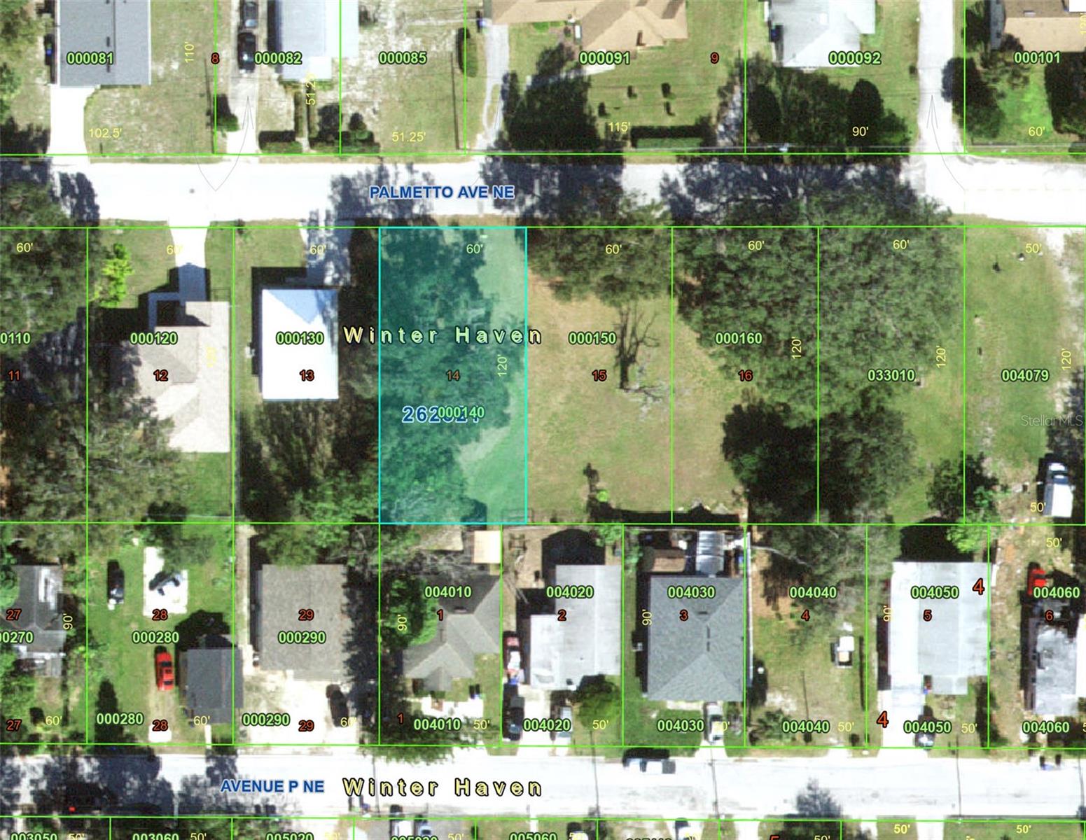 223 PALMETTO AVE NE, WINTER HAVEN, FL — photo 13