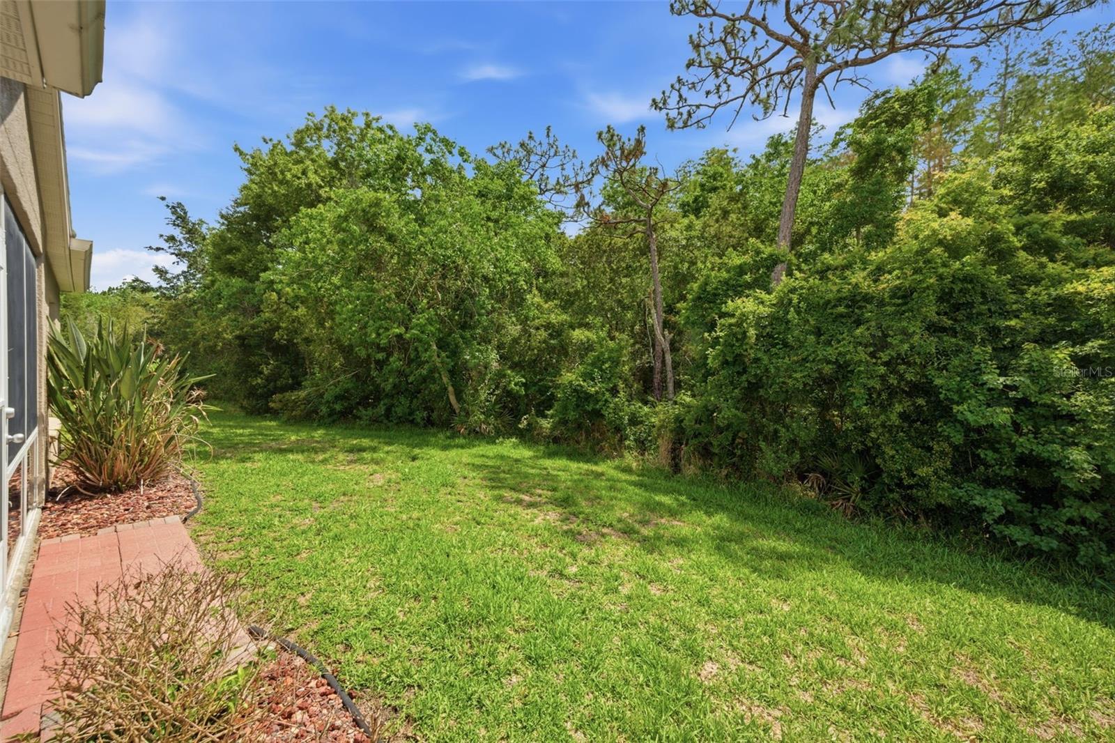 5600 SIR BARTON CT, WESLEY CHAPEL, FL — photo 41