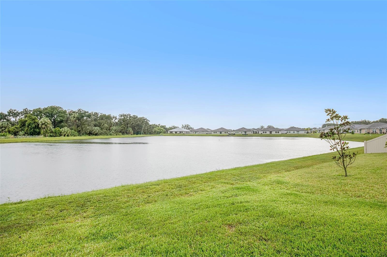 10829 CRUSHED GRAPE DR, RIVERVIEW, FL — photo 21