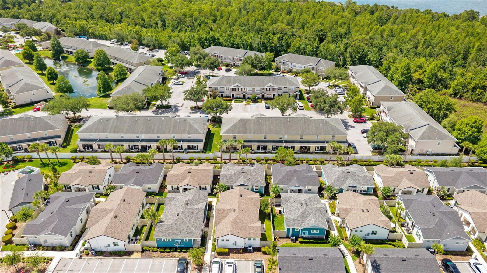 16221 SWAN VIEW CIR, ODESSA, FL — photo 40