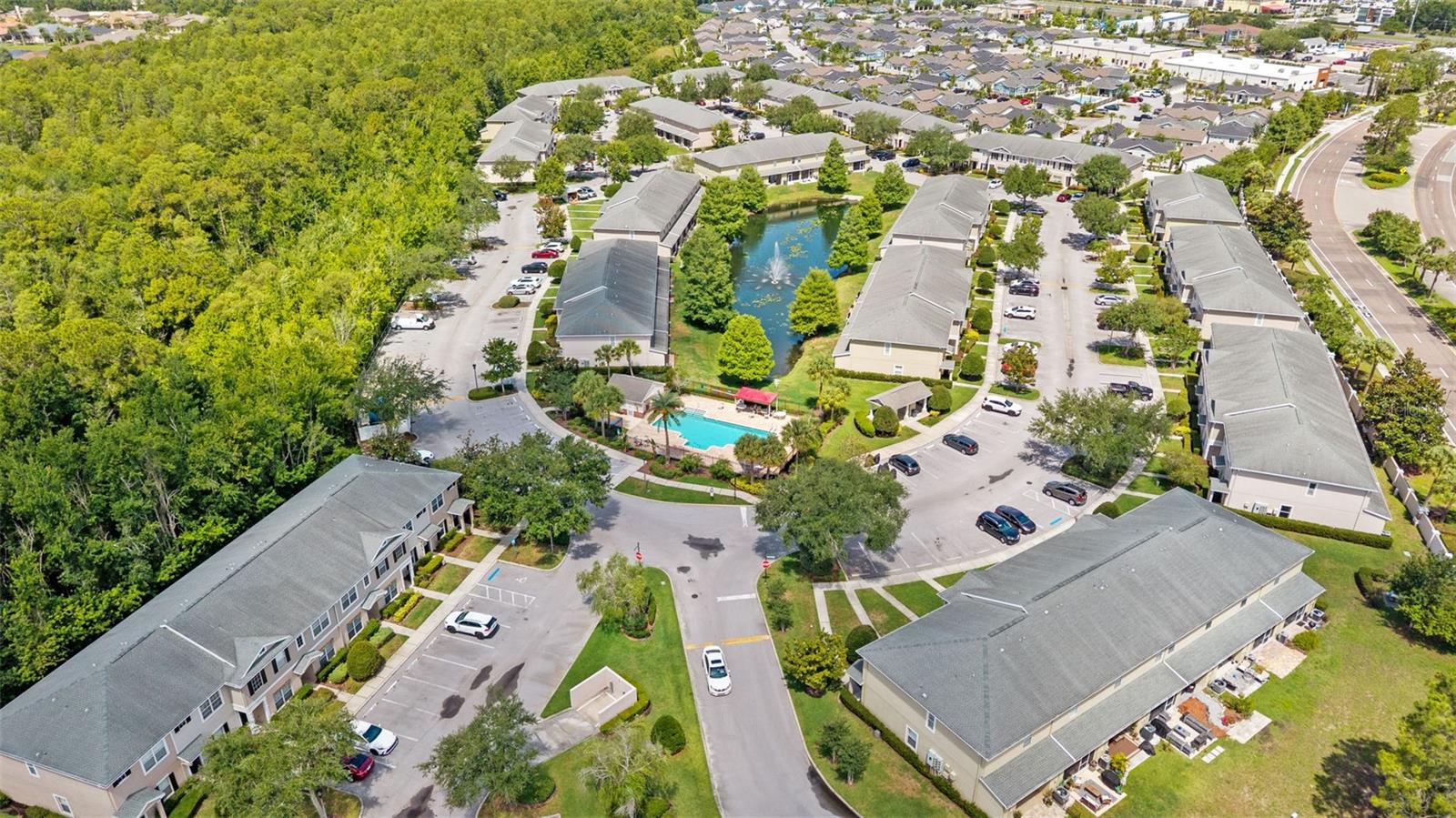 16221 SWAN VIEW CIR, ODESSA, FL — photo 42
