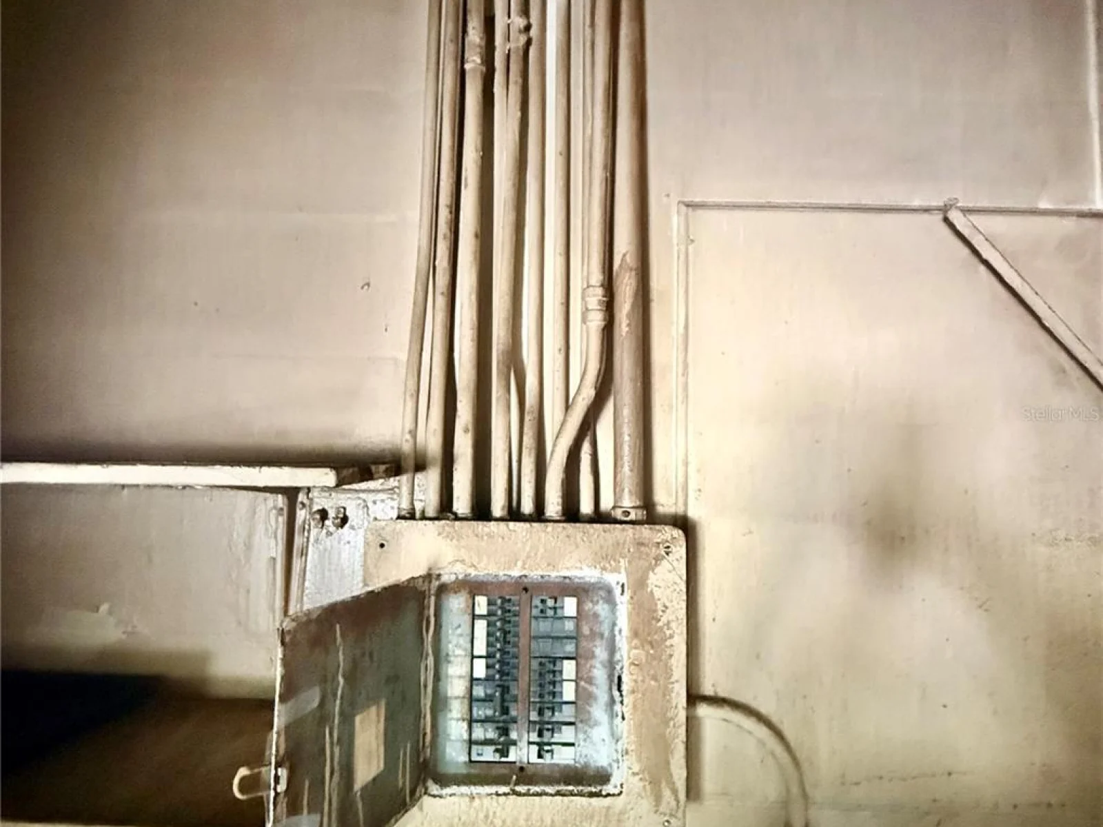 PALMETTO ST, EUSTIS, FL — photo 10