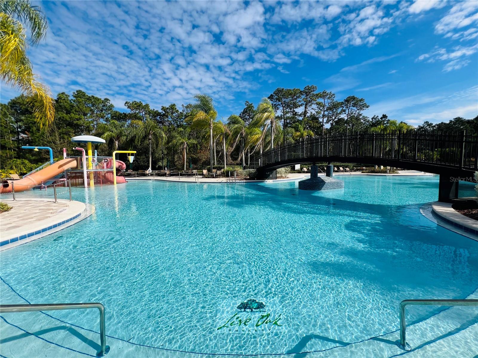 9096 IRON OAK AVE, TAMPA, FL — photo 18