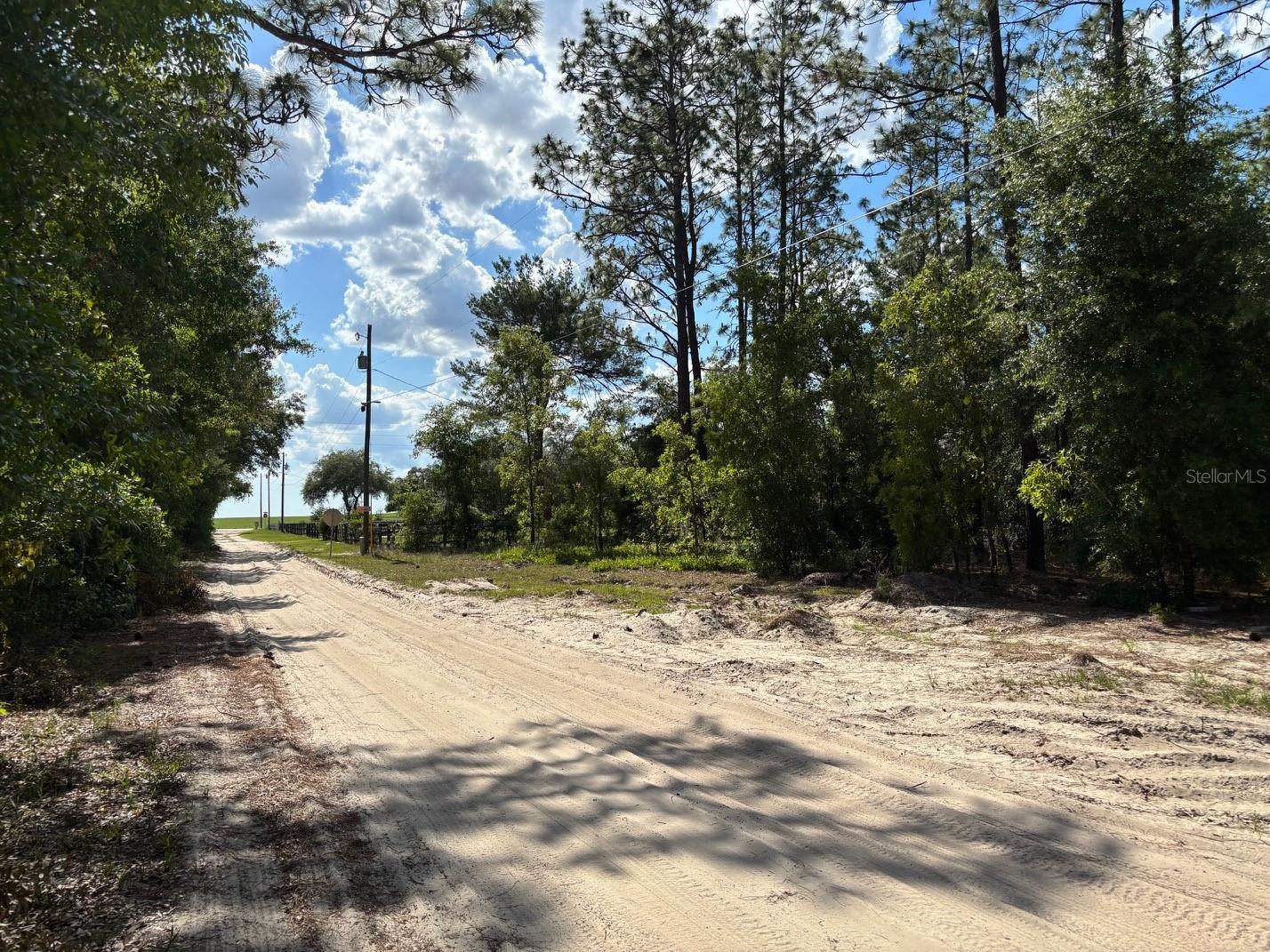 0A SW 93RD PL, DUNNELLON, FL — photo 2