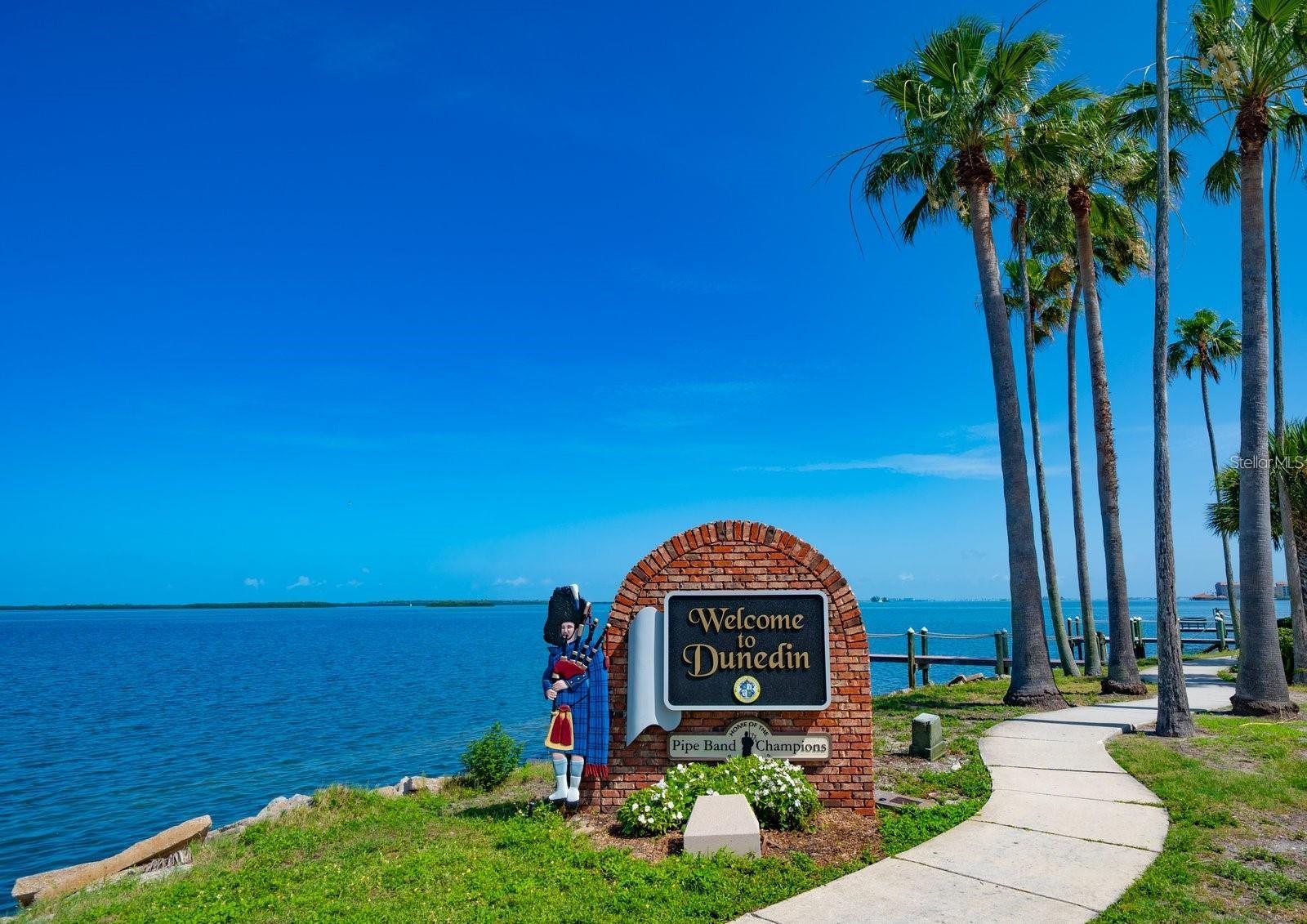 128 EDGEWATER TER, DUNEDIN, FL — photo 56