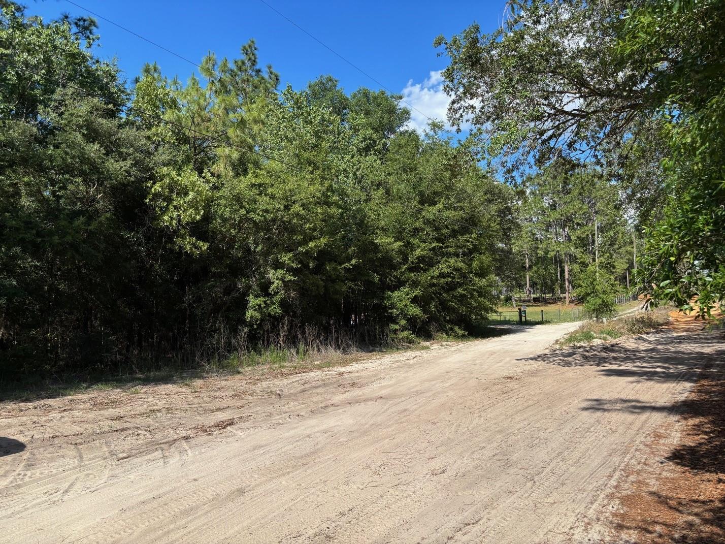 0B SW 93RD PL, DUNNELLON, FL
