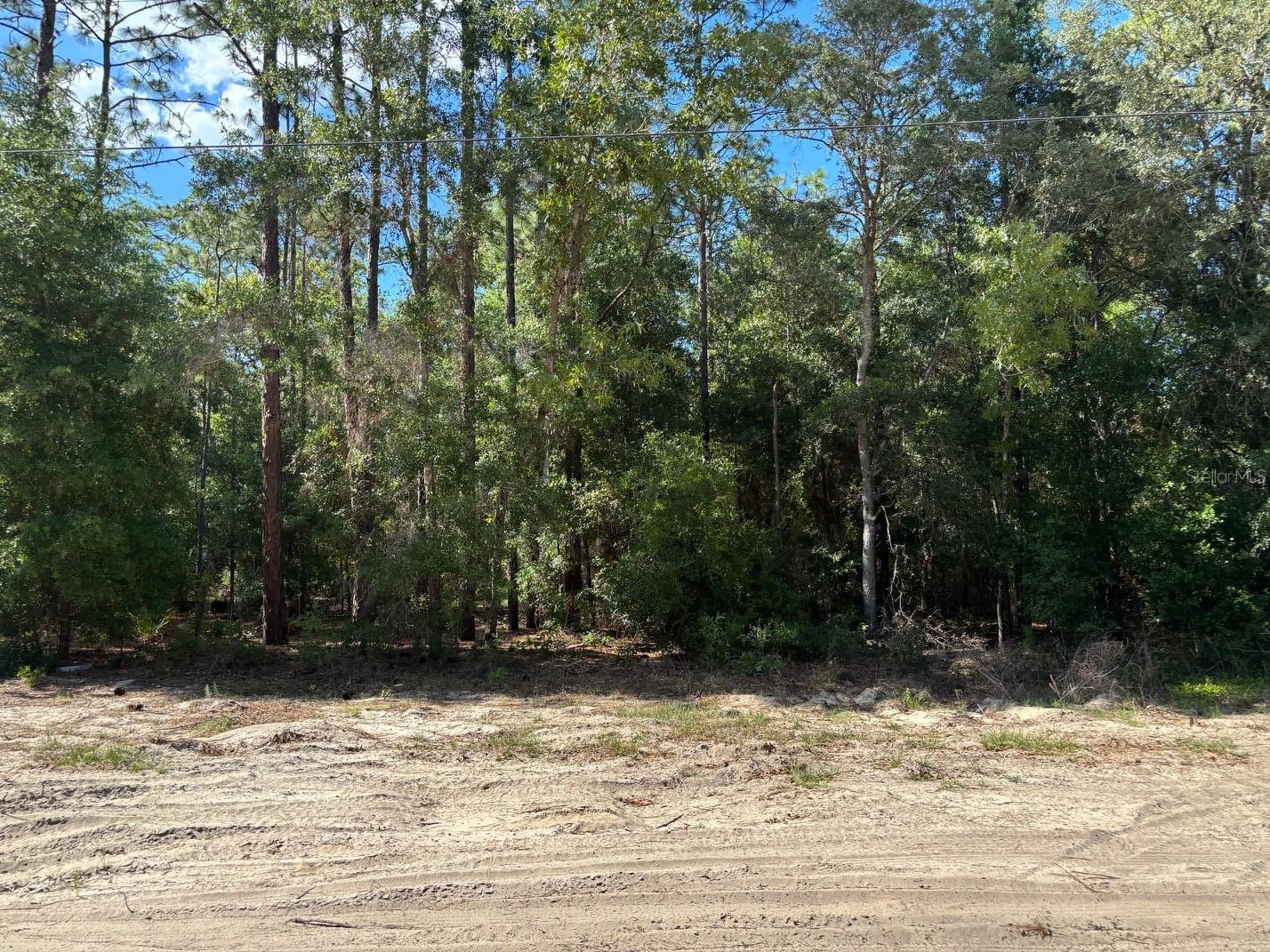 0B SW 93RD PL, DUNNELLON, FL — photo 2