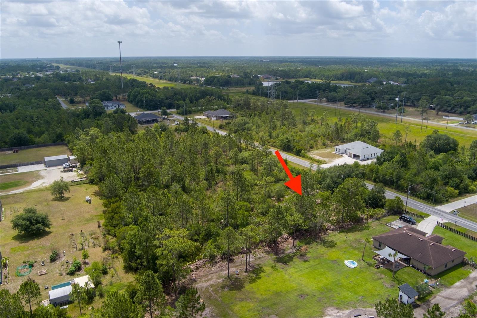 NETTLETON ST, ORLANDO, FL — photo 17