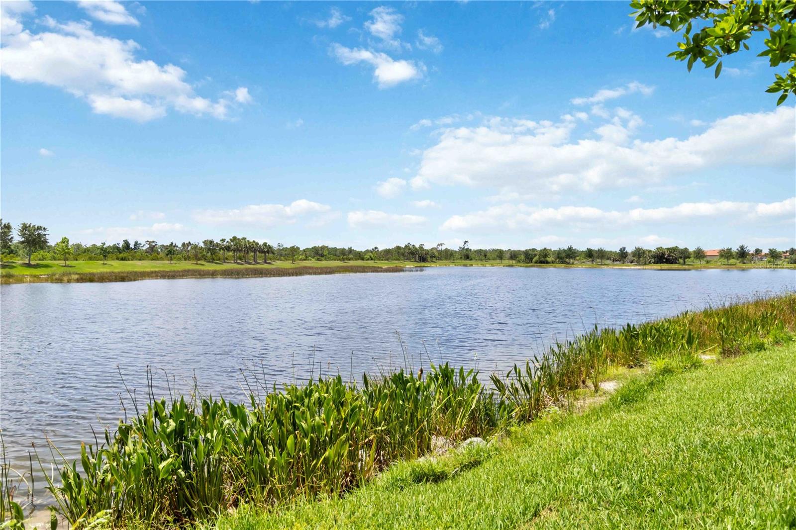 10805 TARFLOWER DR #101, VENICE, FL — photo 43