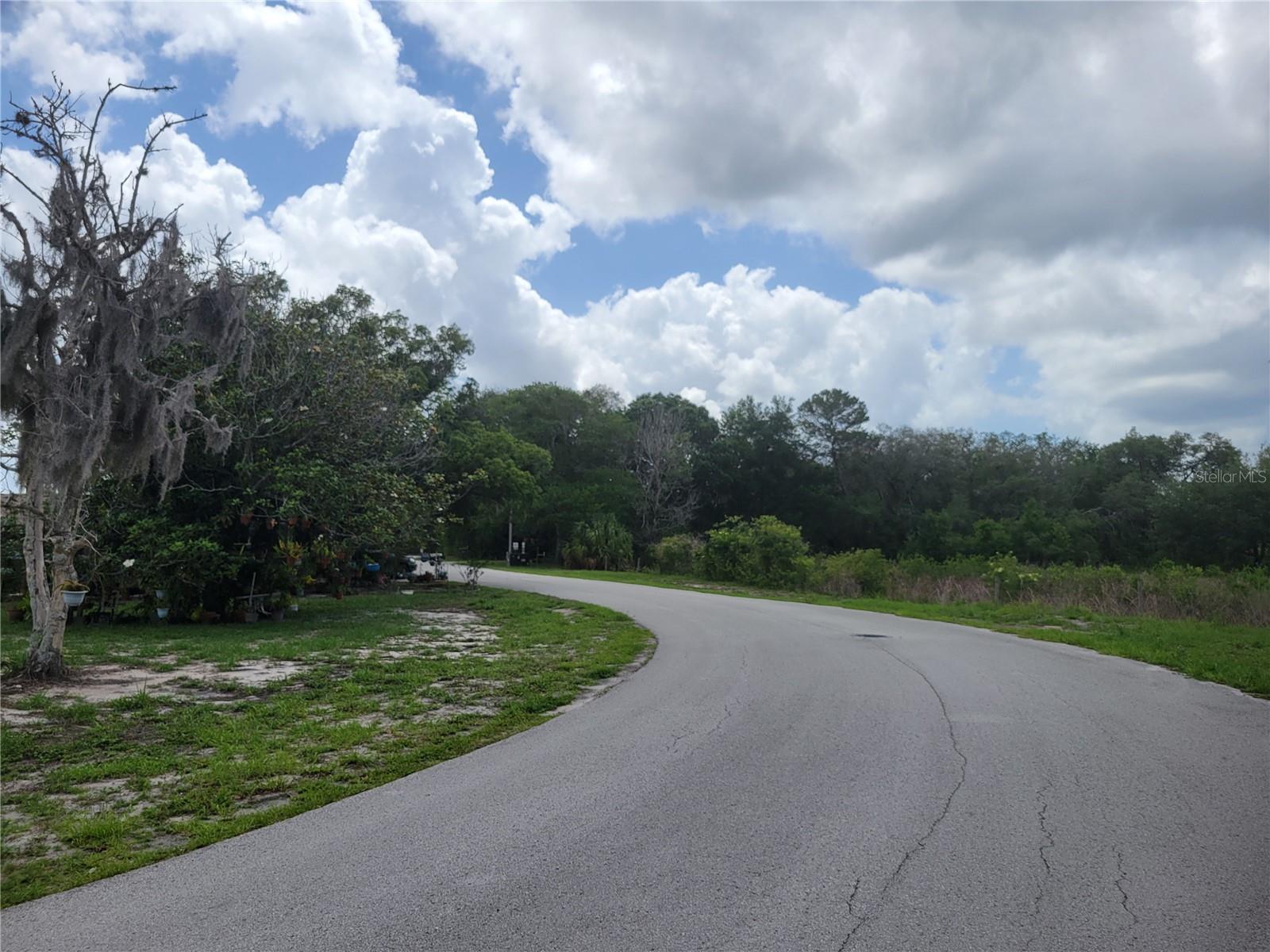 9022 LINGROVE RD, WEEKI WACHEE, FL — photo 51
