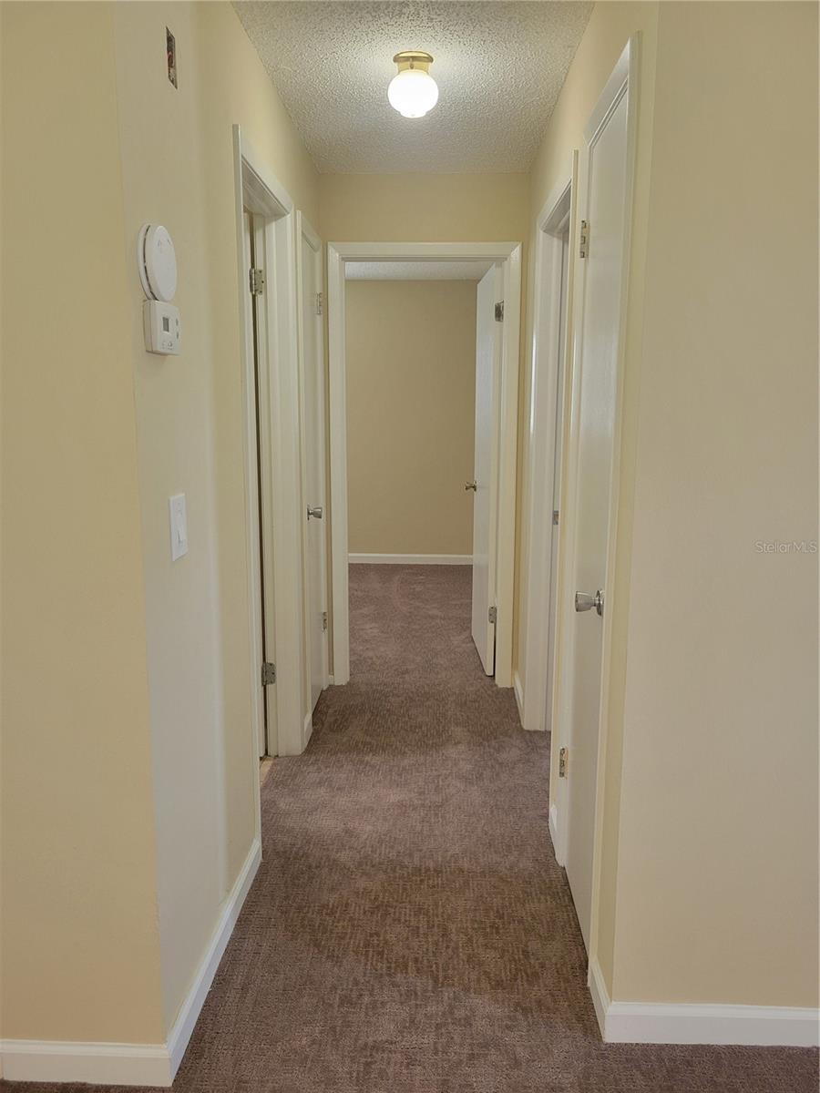 9022 LINGROVE RD, WEEKI WACHEE, FL — photo 16